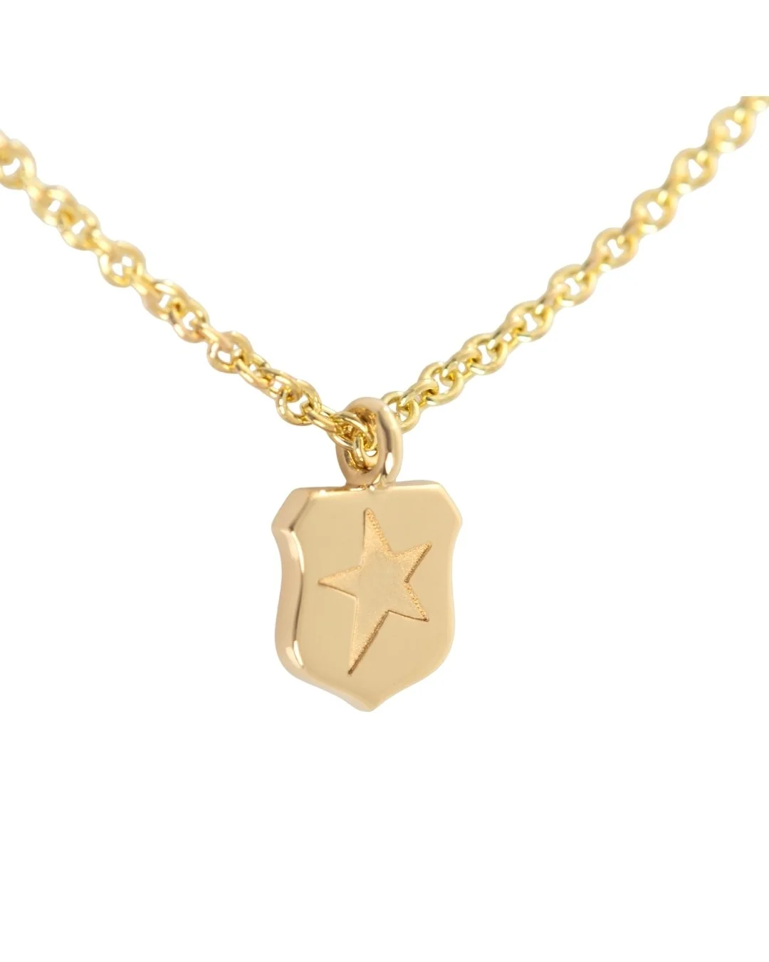 Mini Crest Talisman Necklace