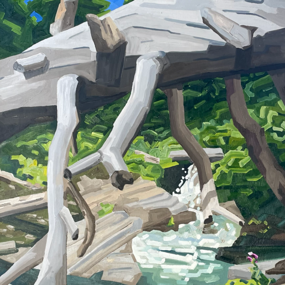Below_Ptarmigan_Falls.png