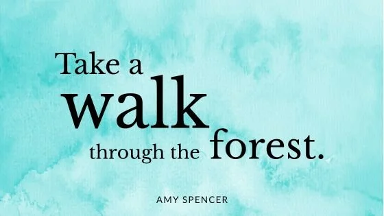 Take a walk through the forest.