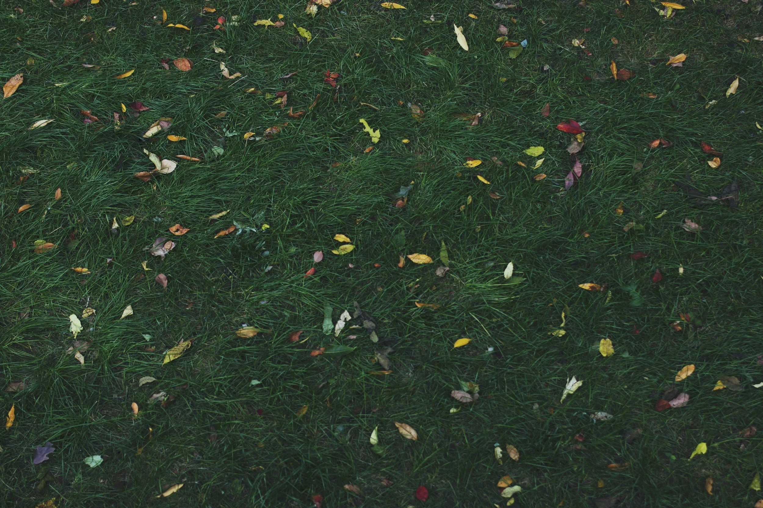 A Letter to All the Friends I've Lost