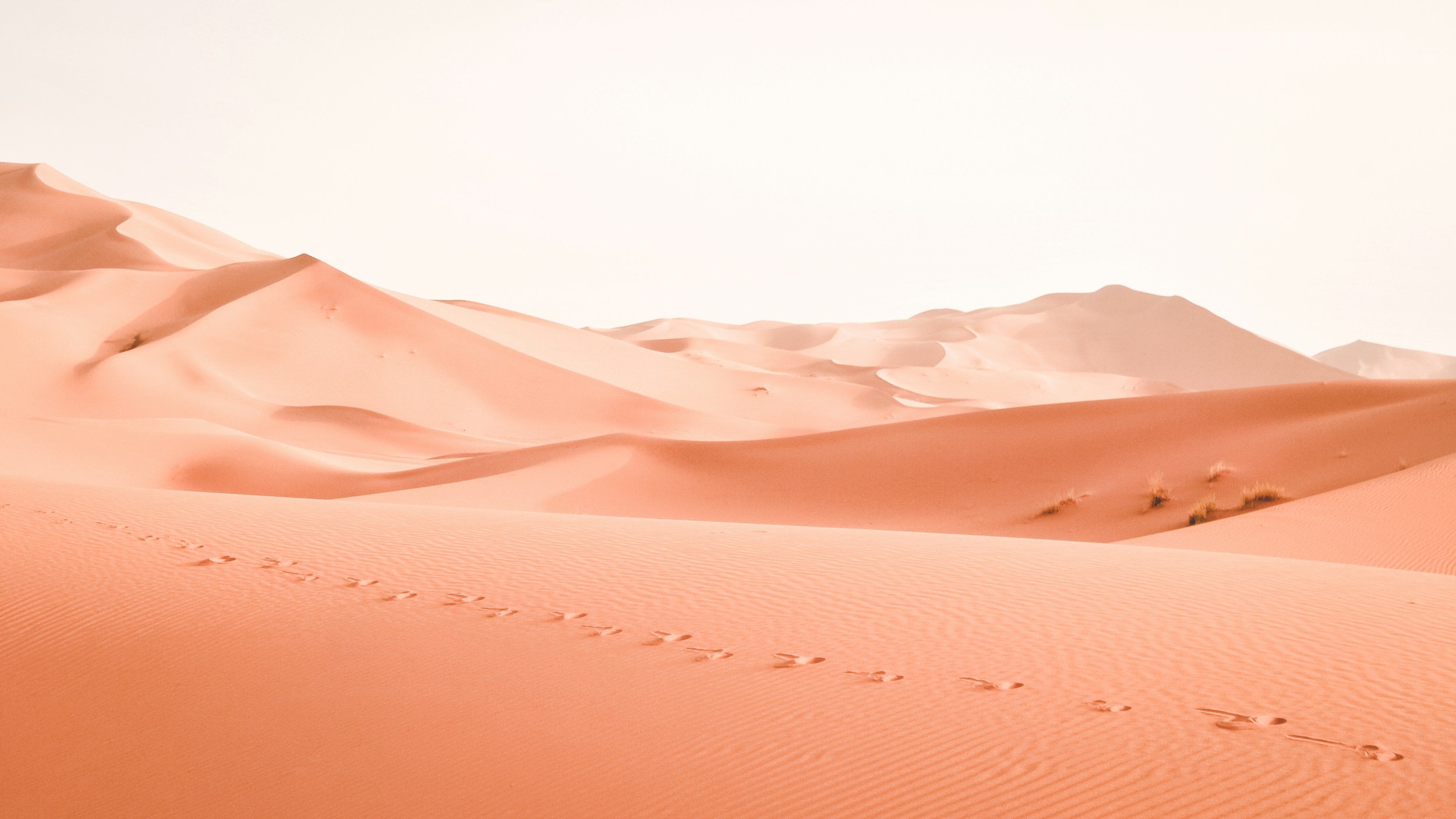 50 Travel Journal Prompts for the Minimalist Nomad