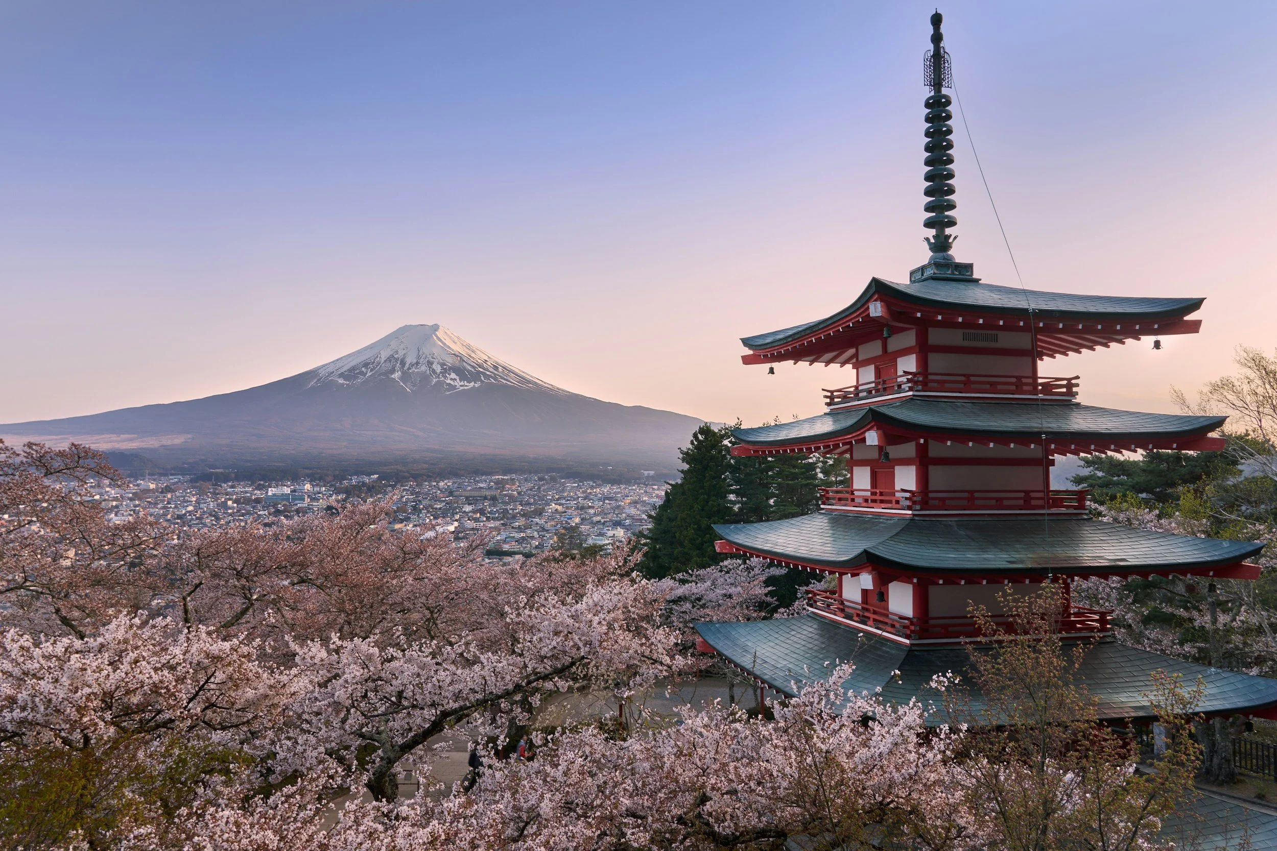 why travel to japan