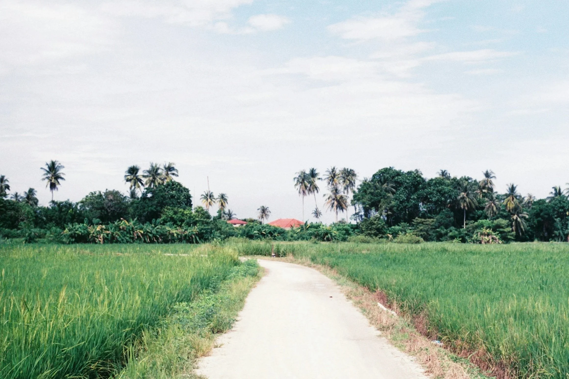 balik pulau