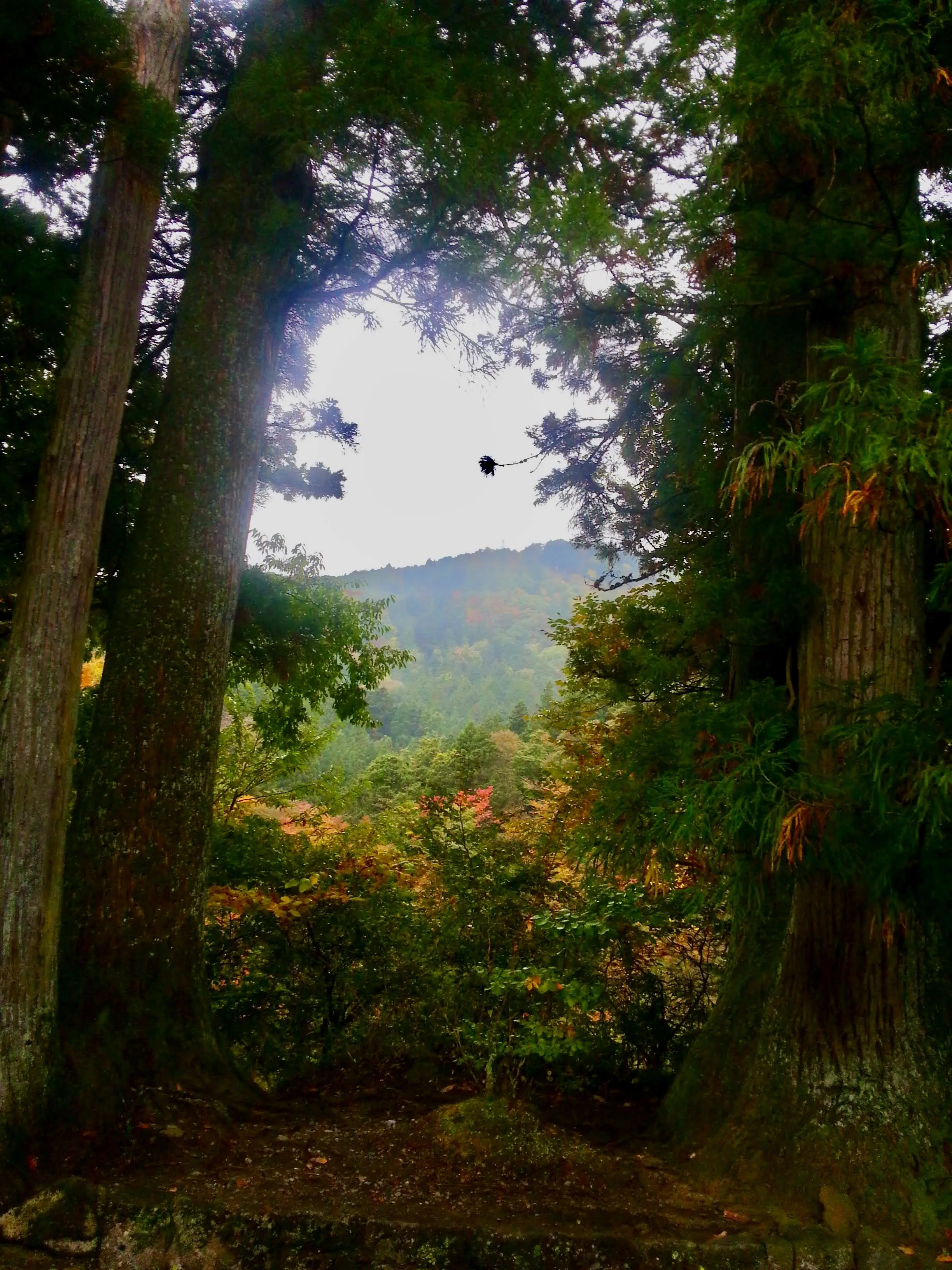 Nikko, Japan