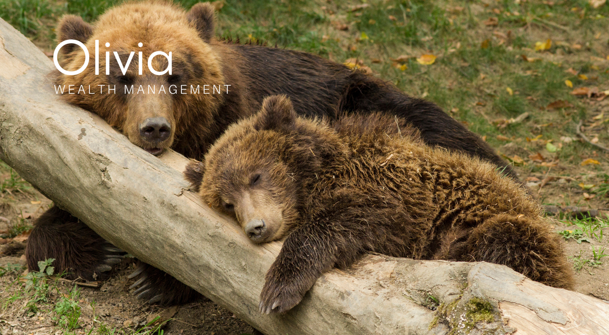 Will Spring Awaken The Bear?