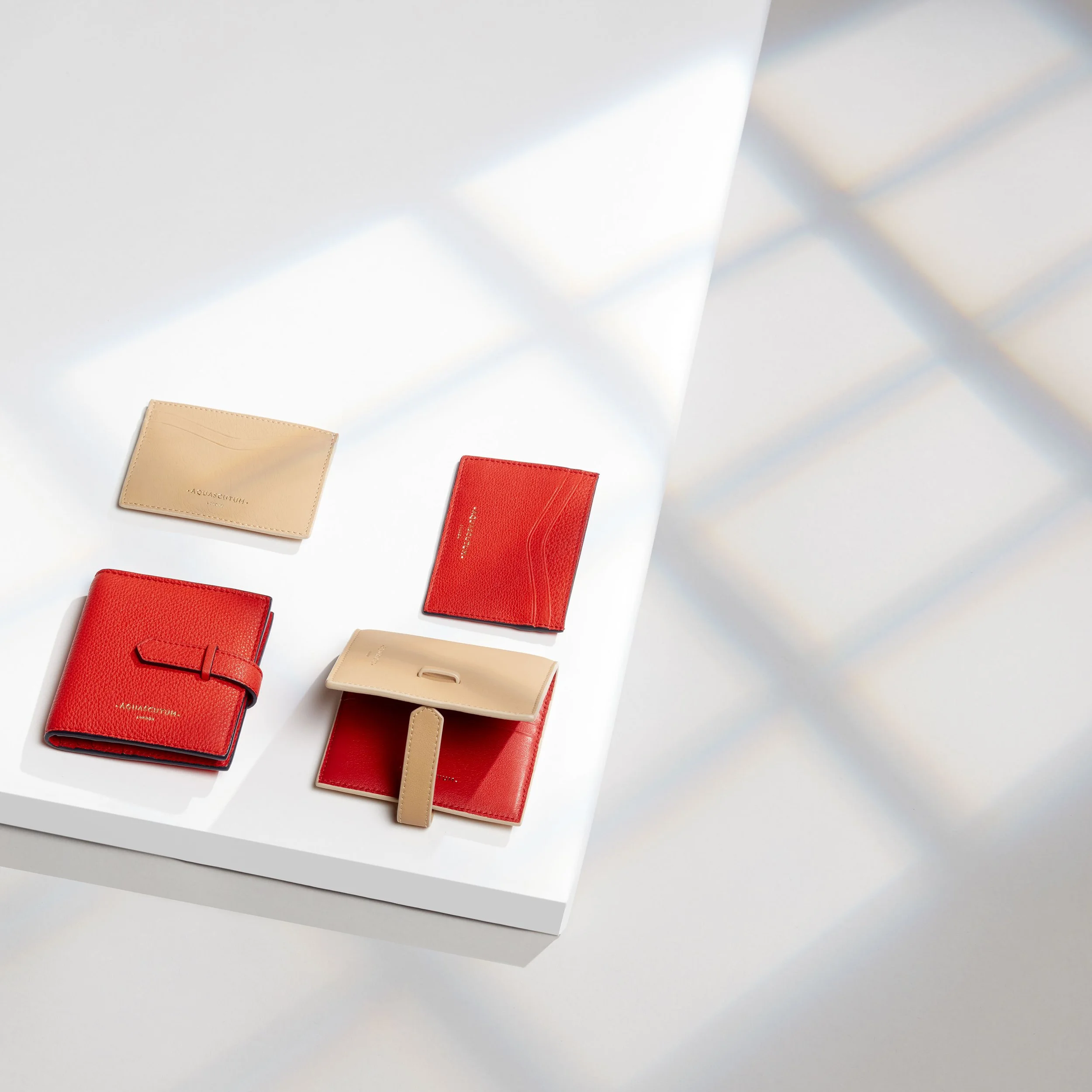 Aquascutum Creative 1.jpeg