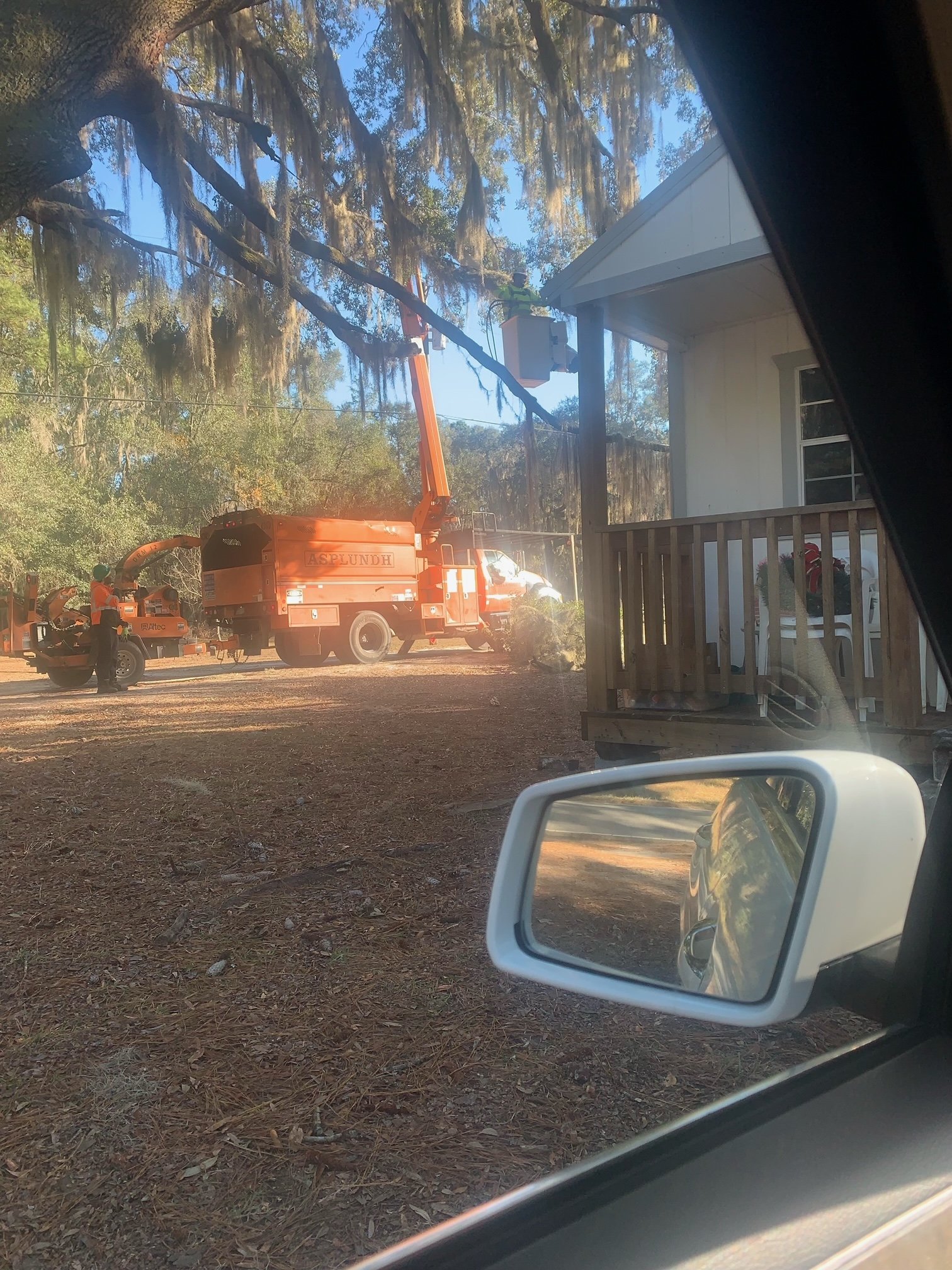 image1.jpeg
