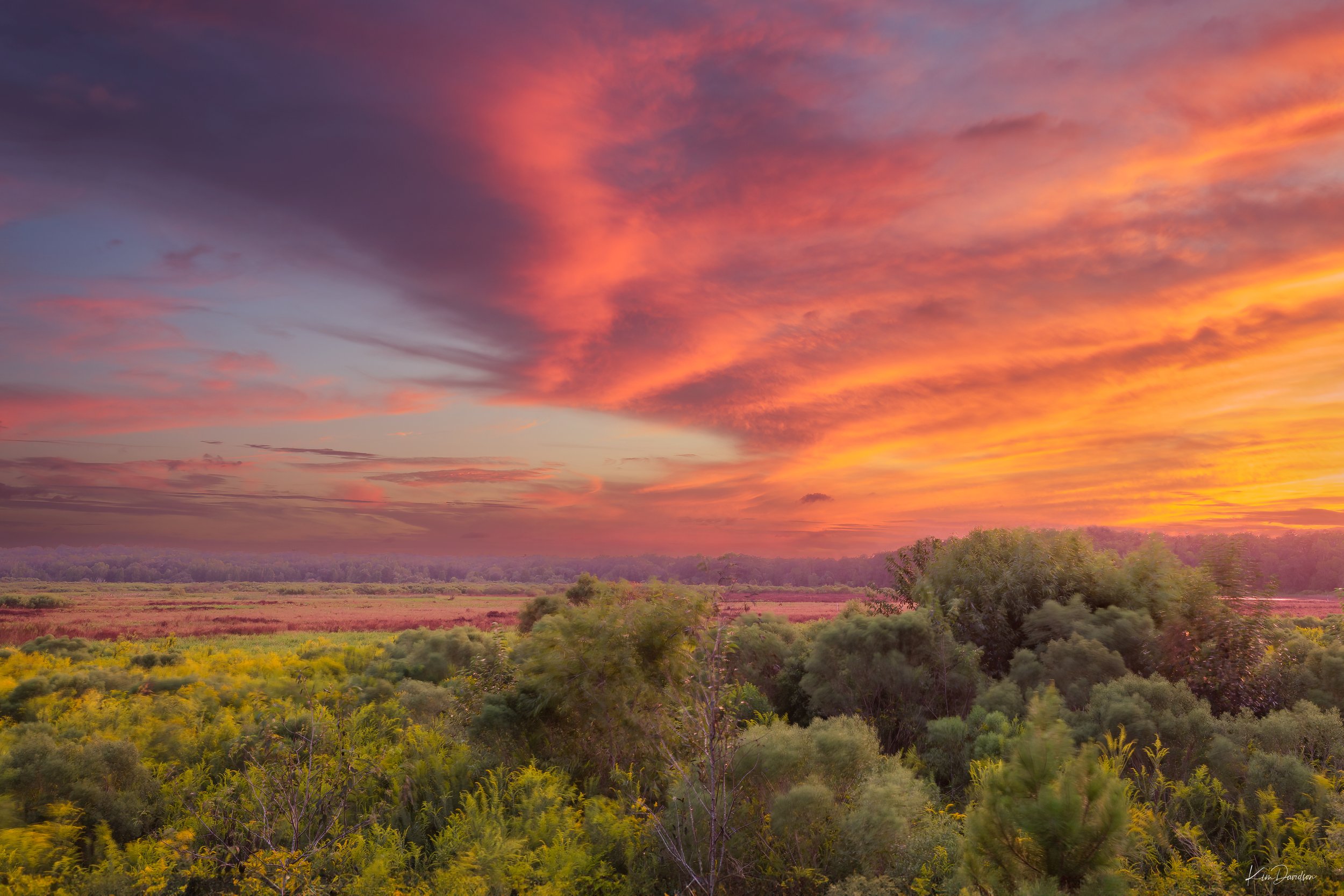 Tuscawilla_5002_62028+031-Edit.jpg