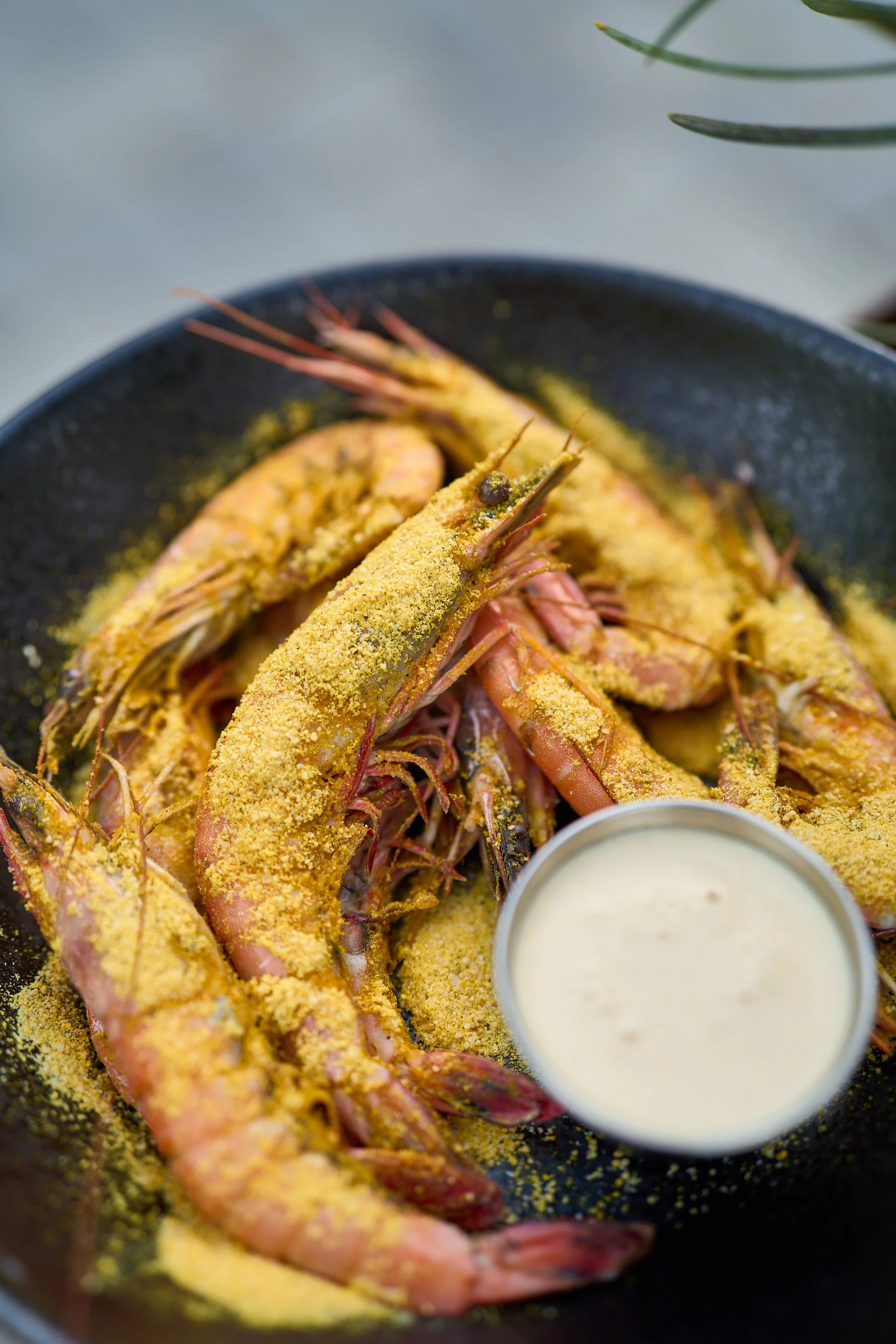 John Park_Peel and Eat.jpg