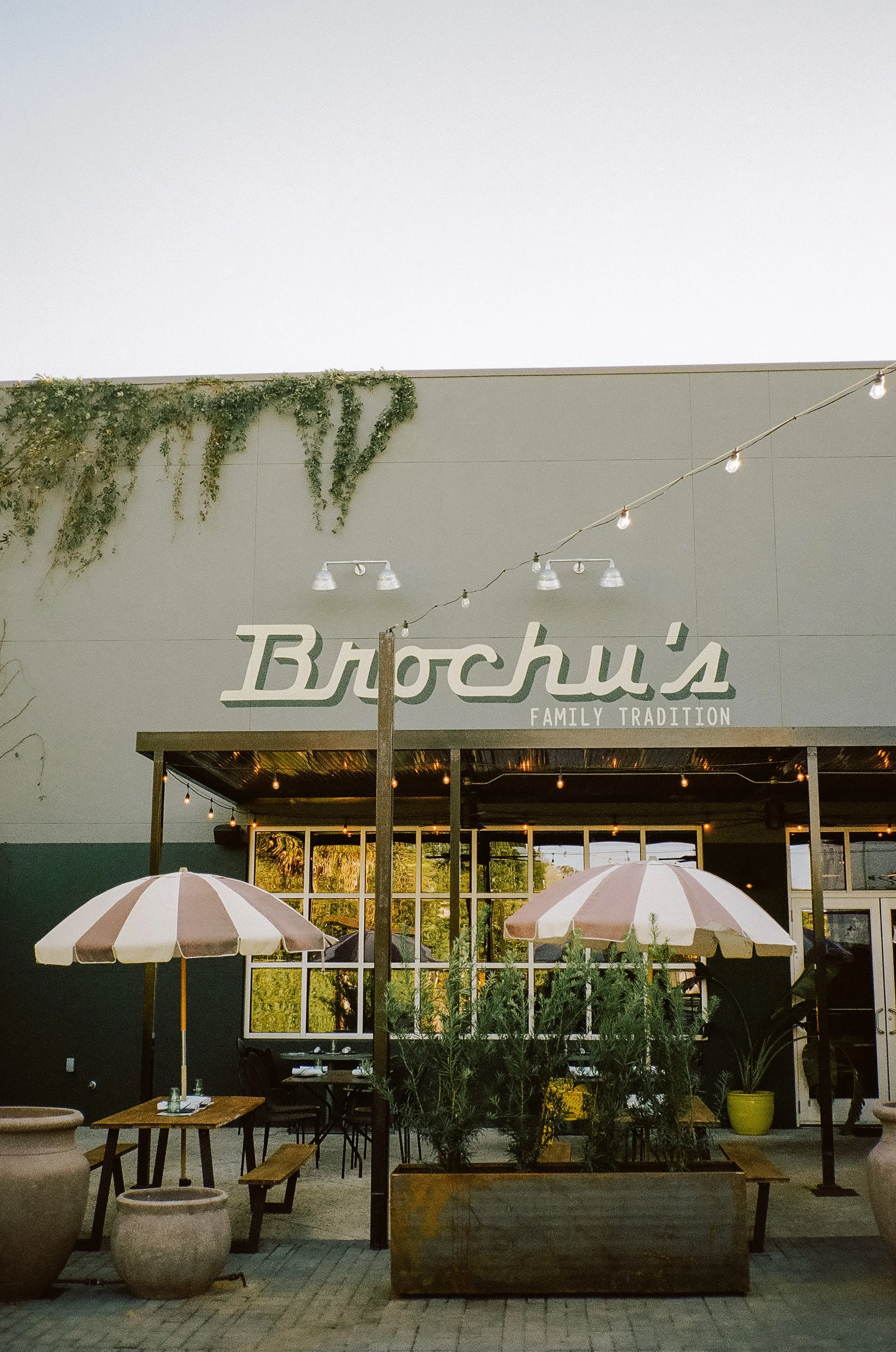 Photo by Kathryn Ann Waller