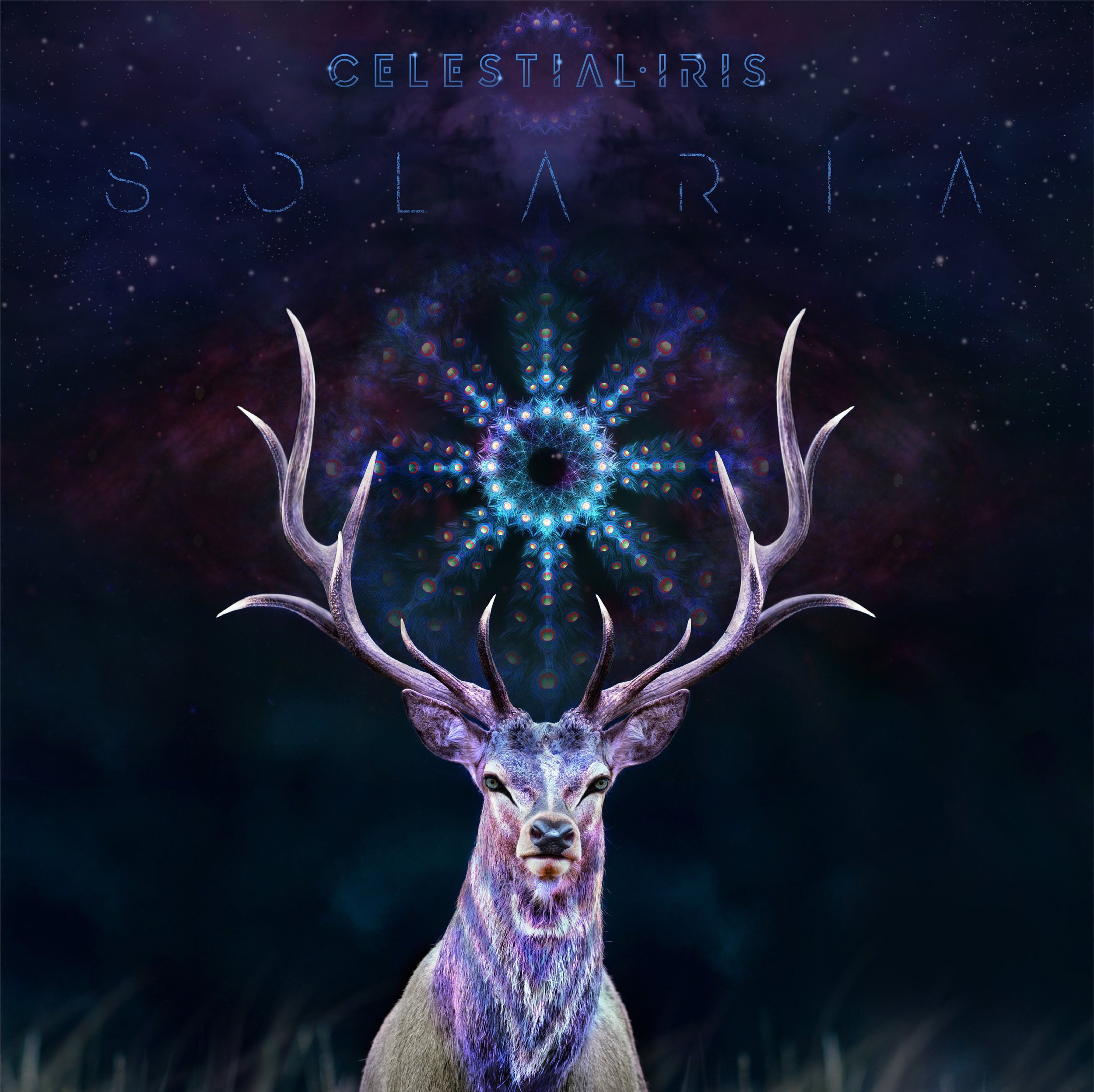 Solaria Final Apr 2018.jpg