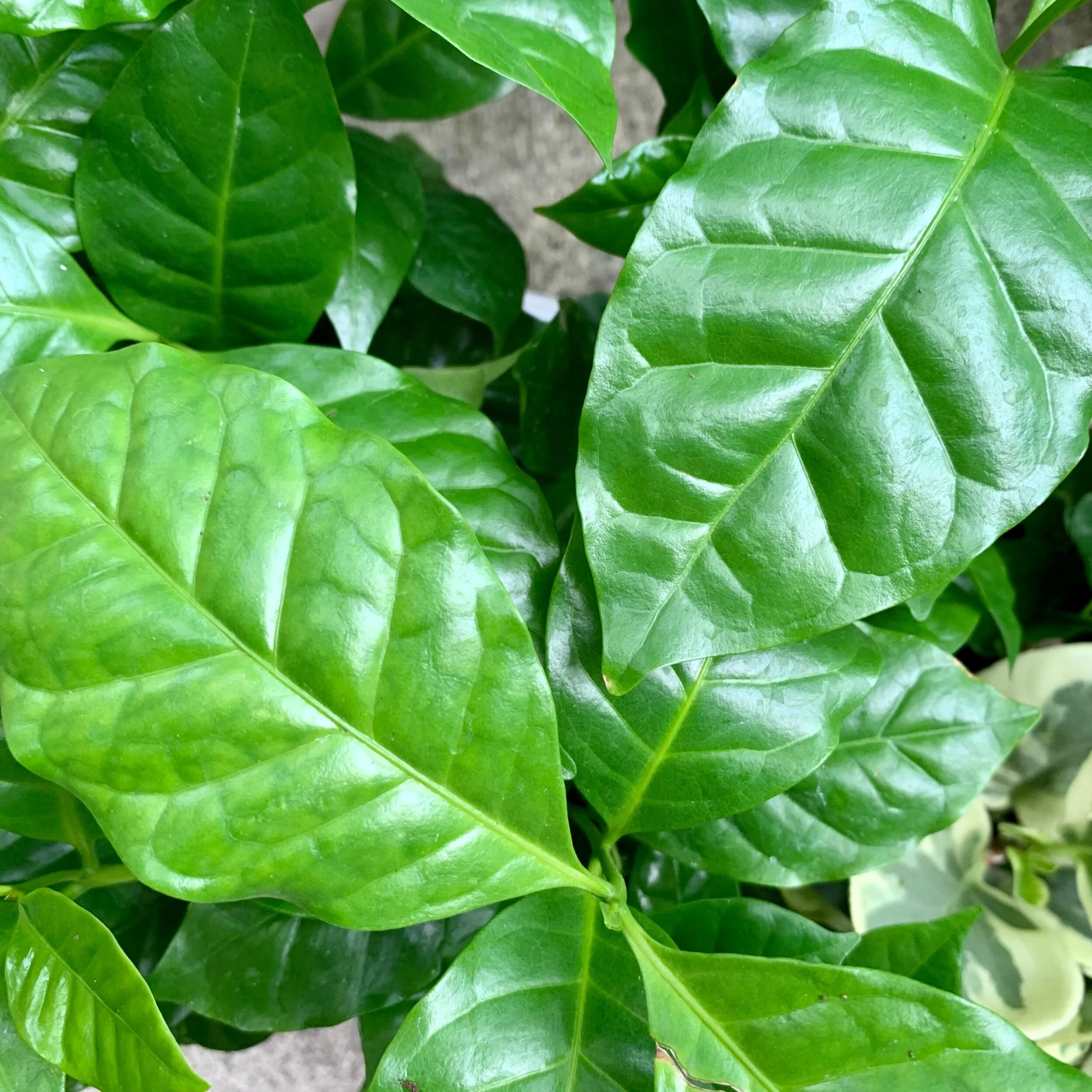 87D993E4-AE3A-468B-859A-38F05E3A0108