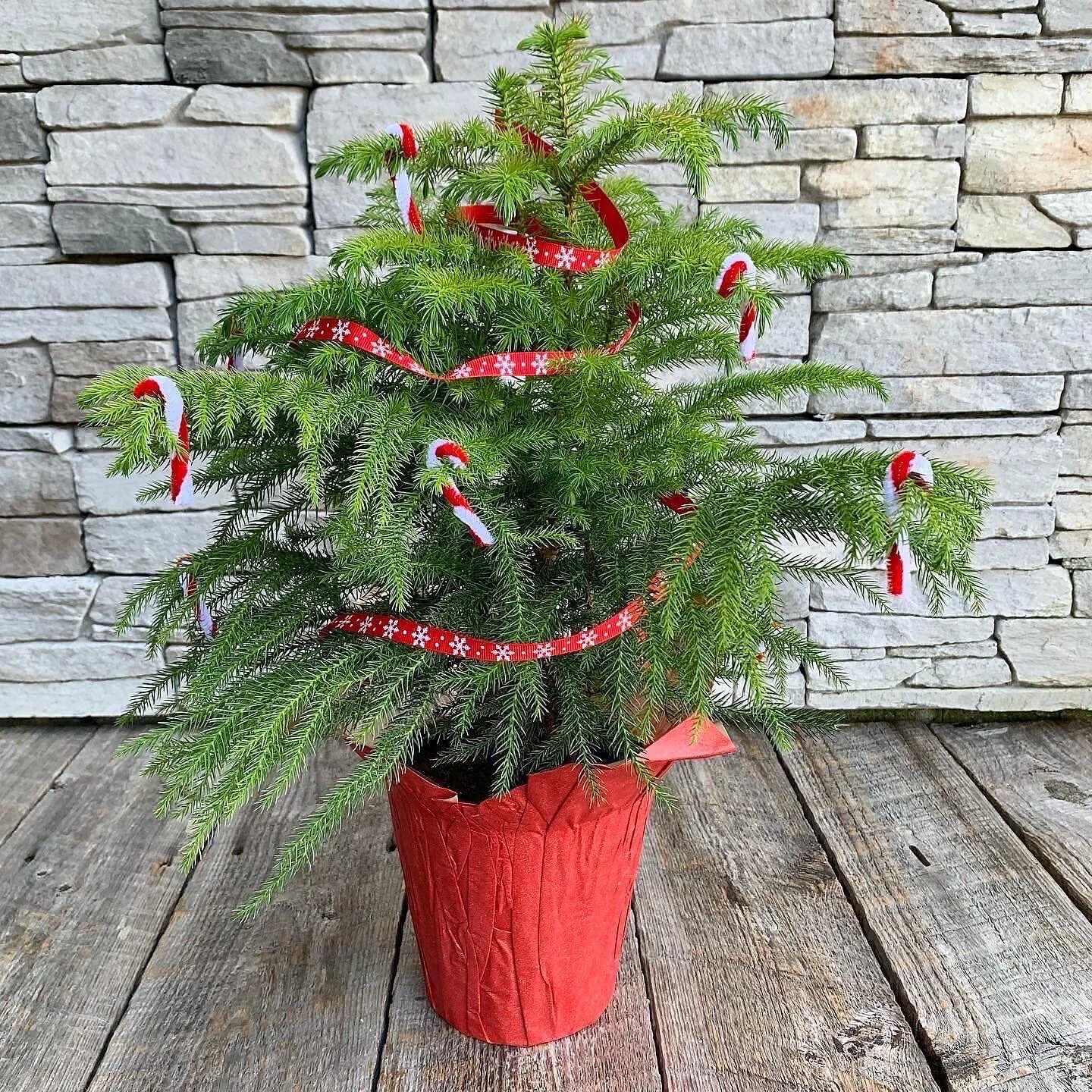 A23B0EAA-738D-49A5-A616-37162C1BA6A1