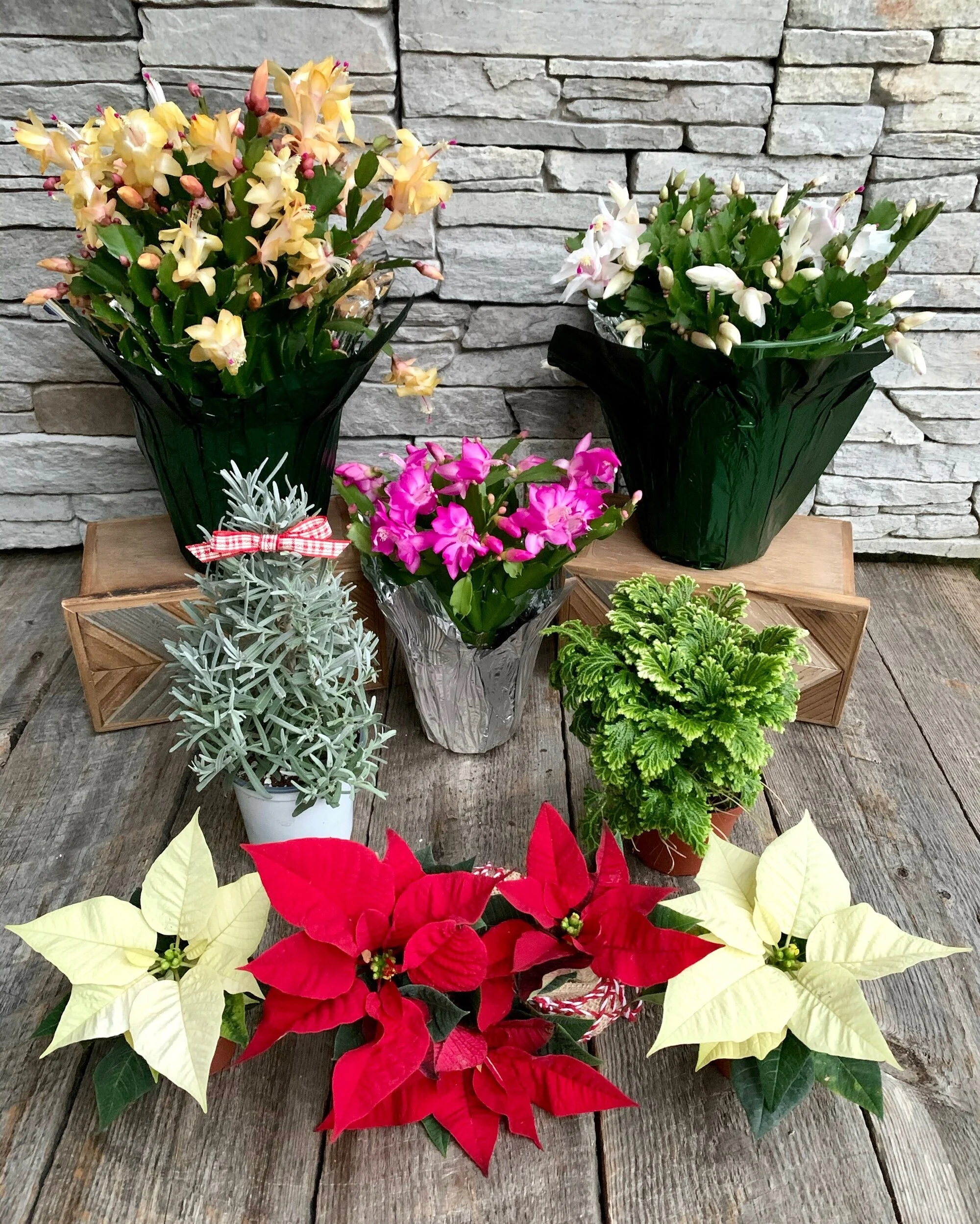 0FF3D44E-E1B5-40B0-8574-C151EA3A006E