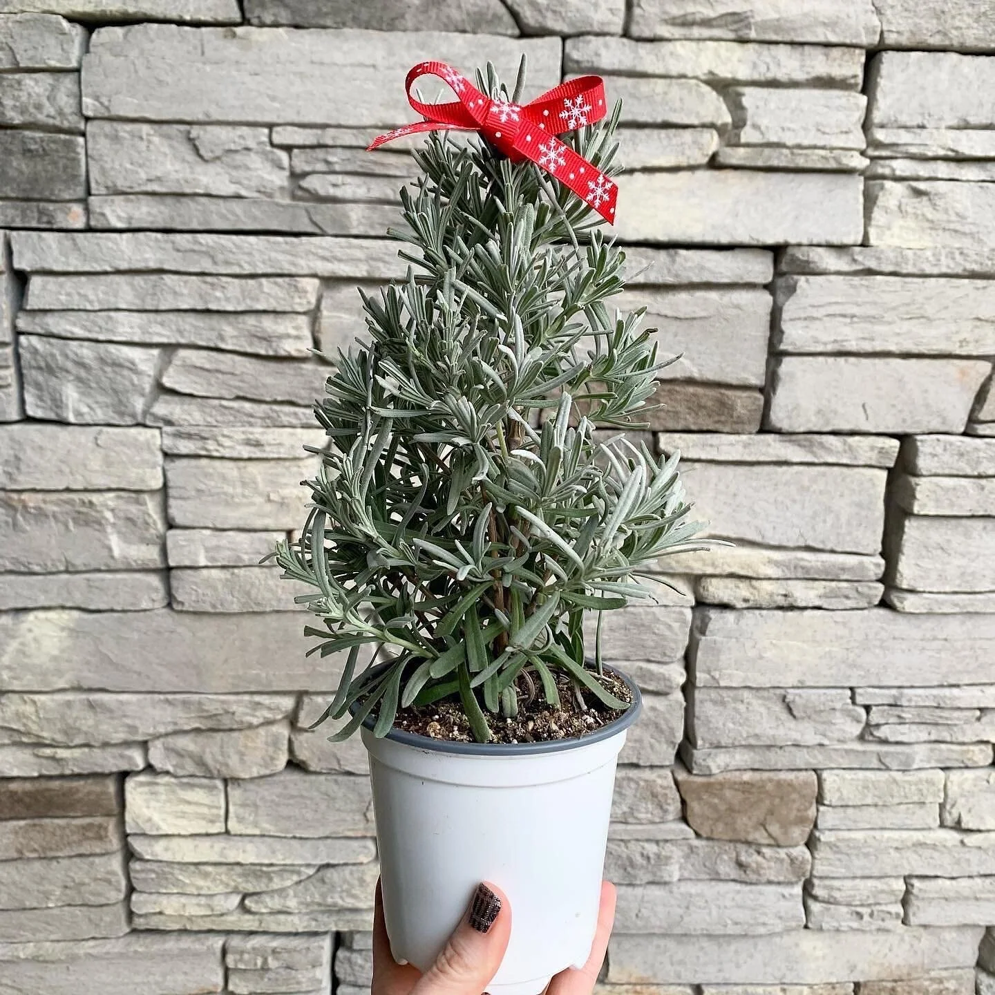 0BDC83A4-E5E8-4228-9878-6E10ED8A9A36