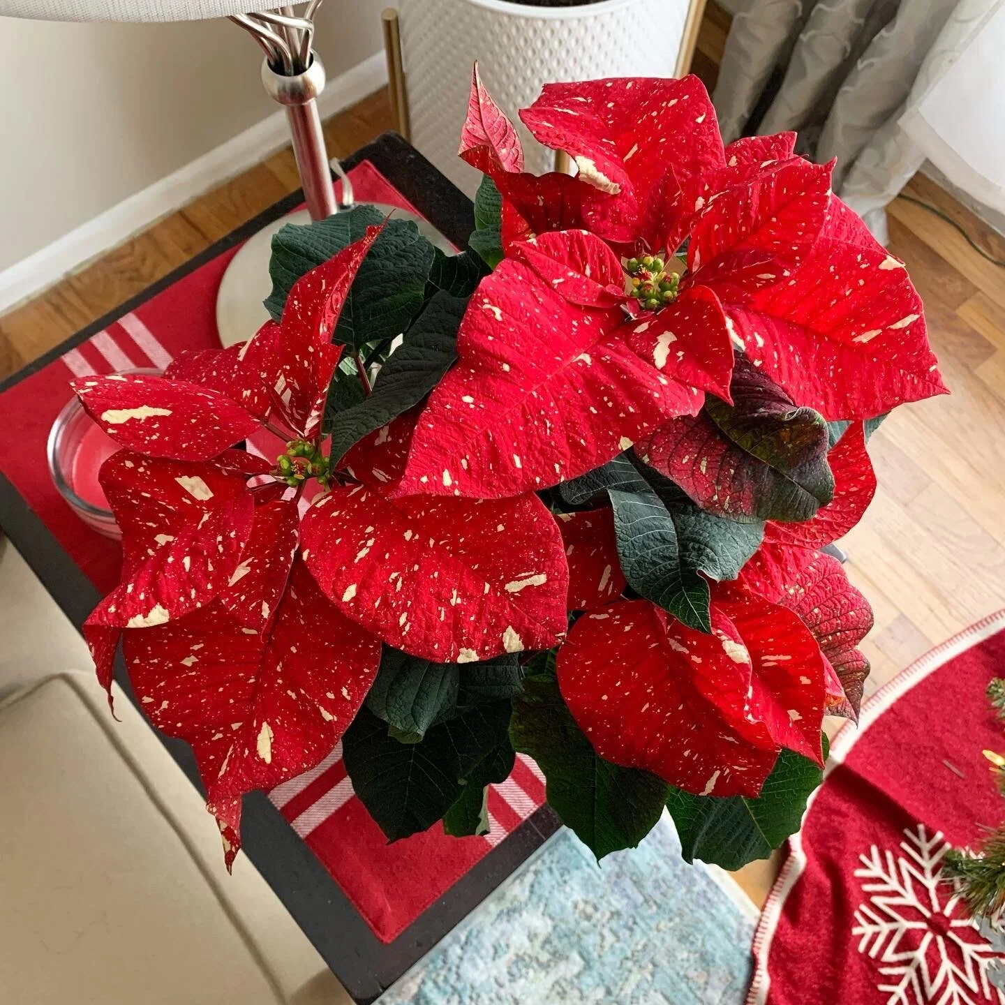 8202D4EF-A2EF-48DA-8732-90B5357189C2