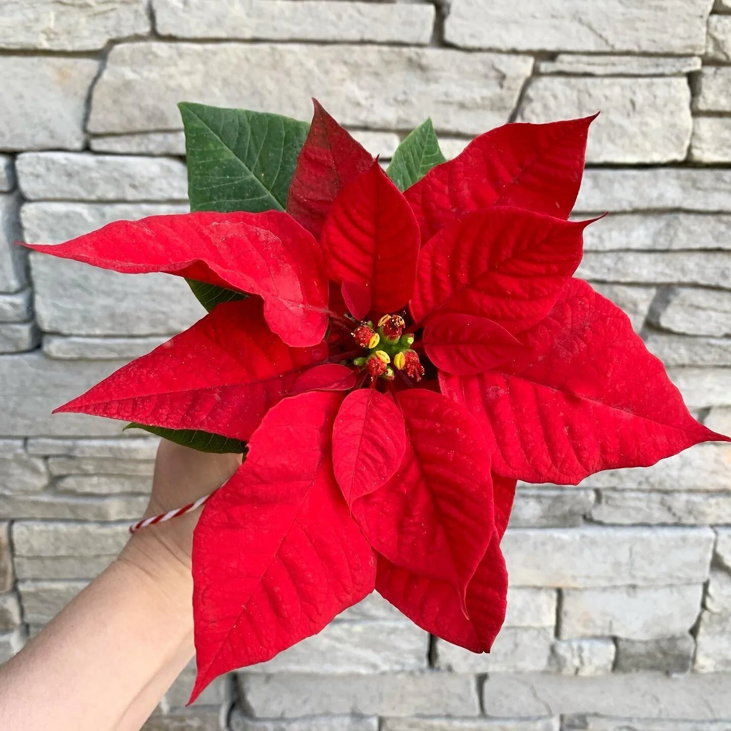 217D1439-43EB-4333-87E3-843439C93AFA