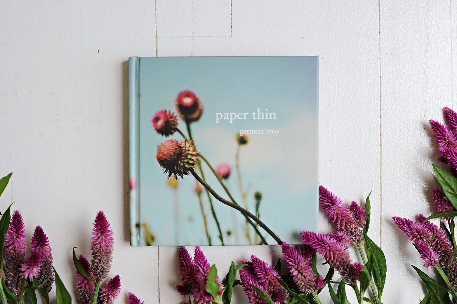 Paper Thin by gemma Troy.jpg
