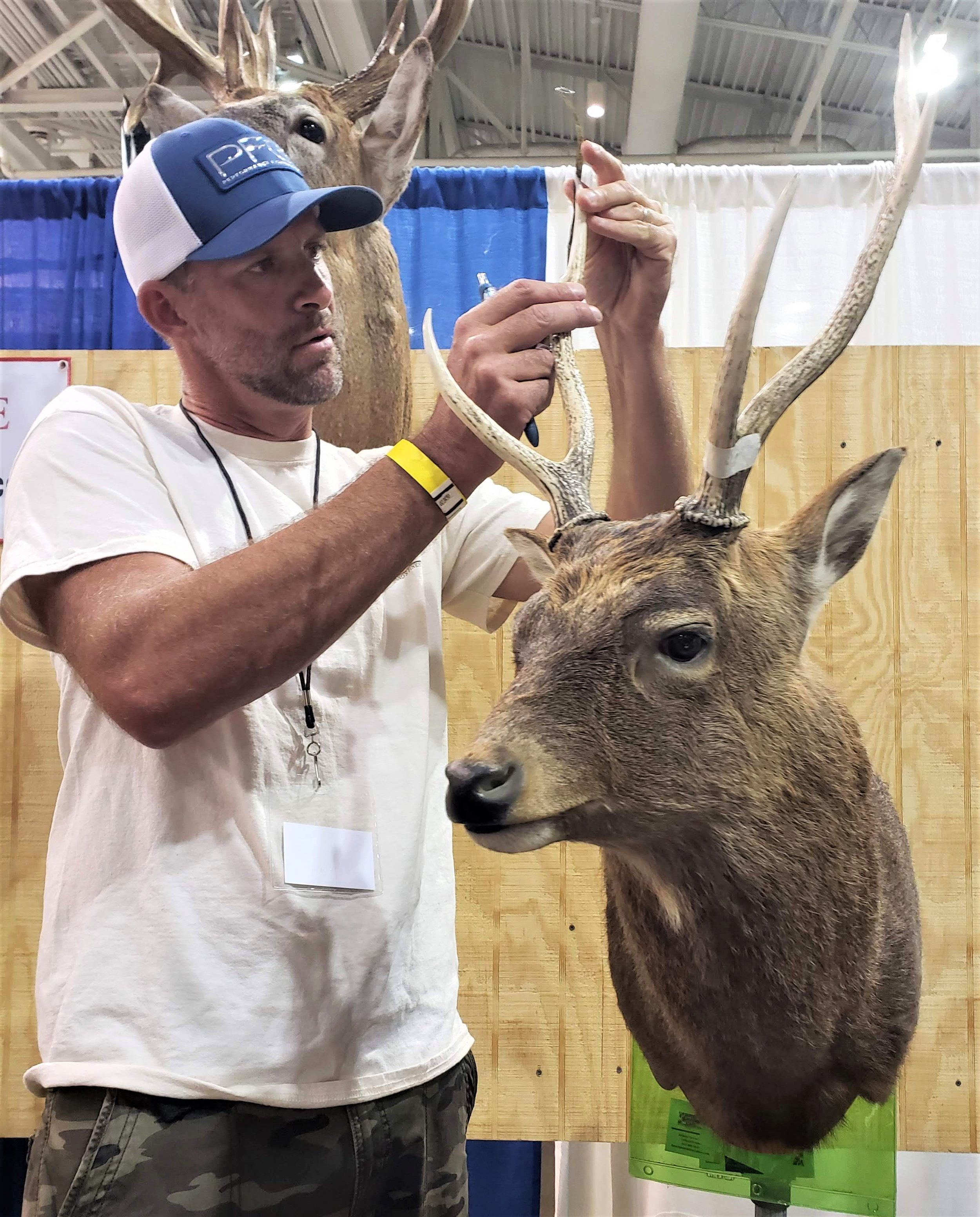 Measuring and Scoring Mule and Blacktail Deer - B&C Club Official Guide