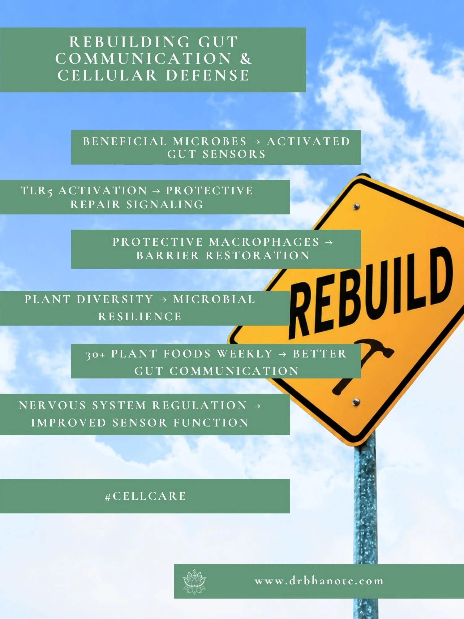 Dr. Monisha Bhanote-inspired infographic illustrating how beneficial microbes, nervous system regulation, and plant diversity help rebuild gut communication, immune defense, and cellular resilience.