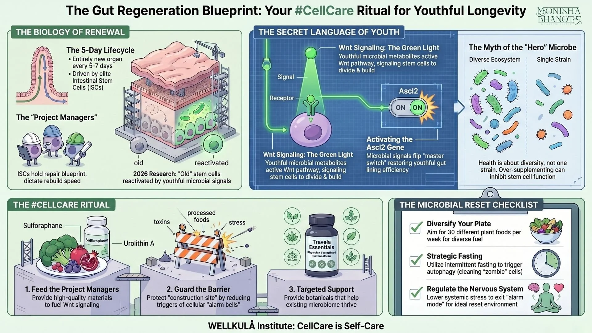 Dr. Monisha Bhanote illustrating the gut regeneration blueprint, microbial diversity, stem cell signaling, and #CellCare strategies for healthy aging.