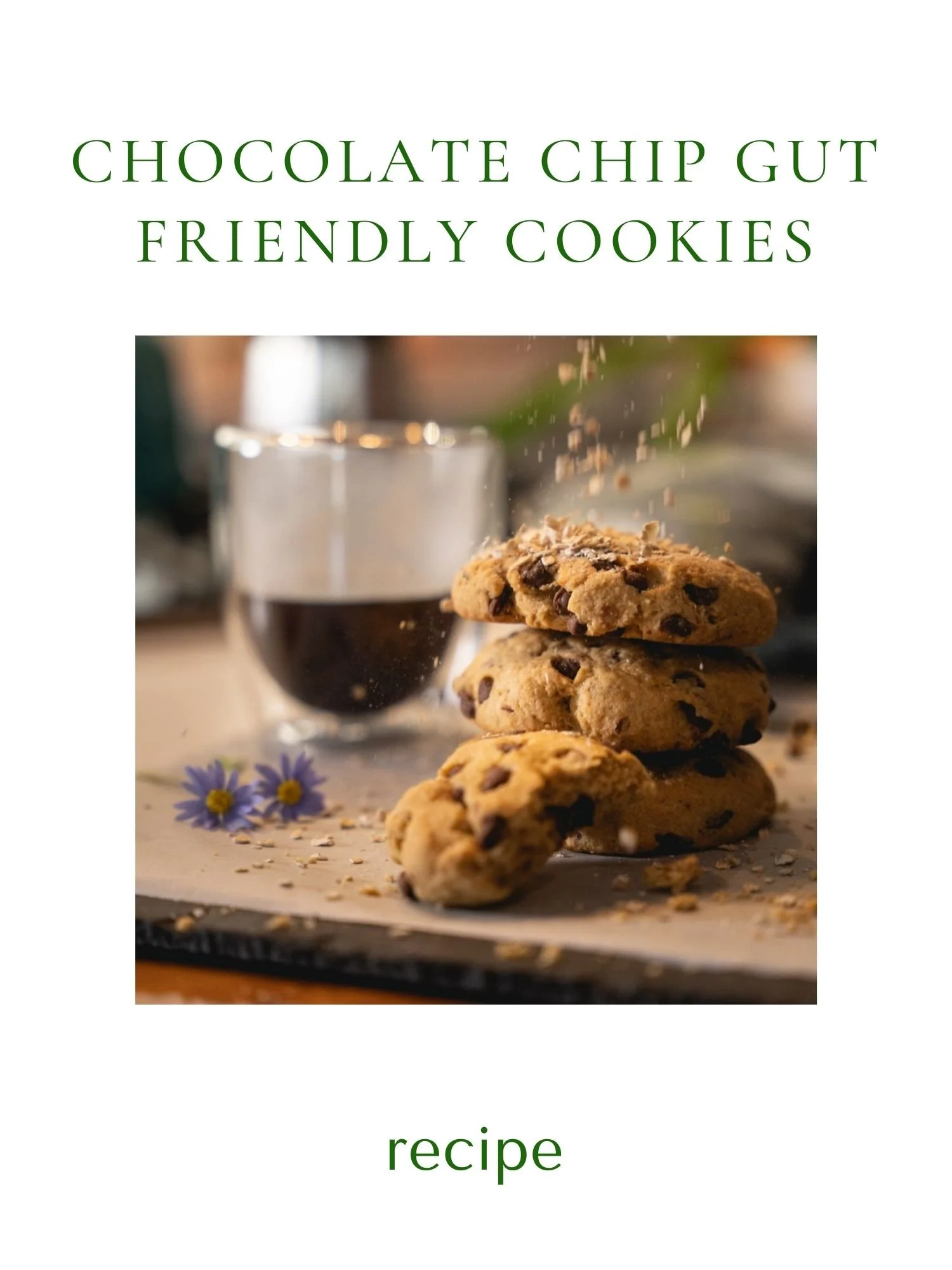 Chocolate Chip Gut Friendly Cookies