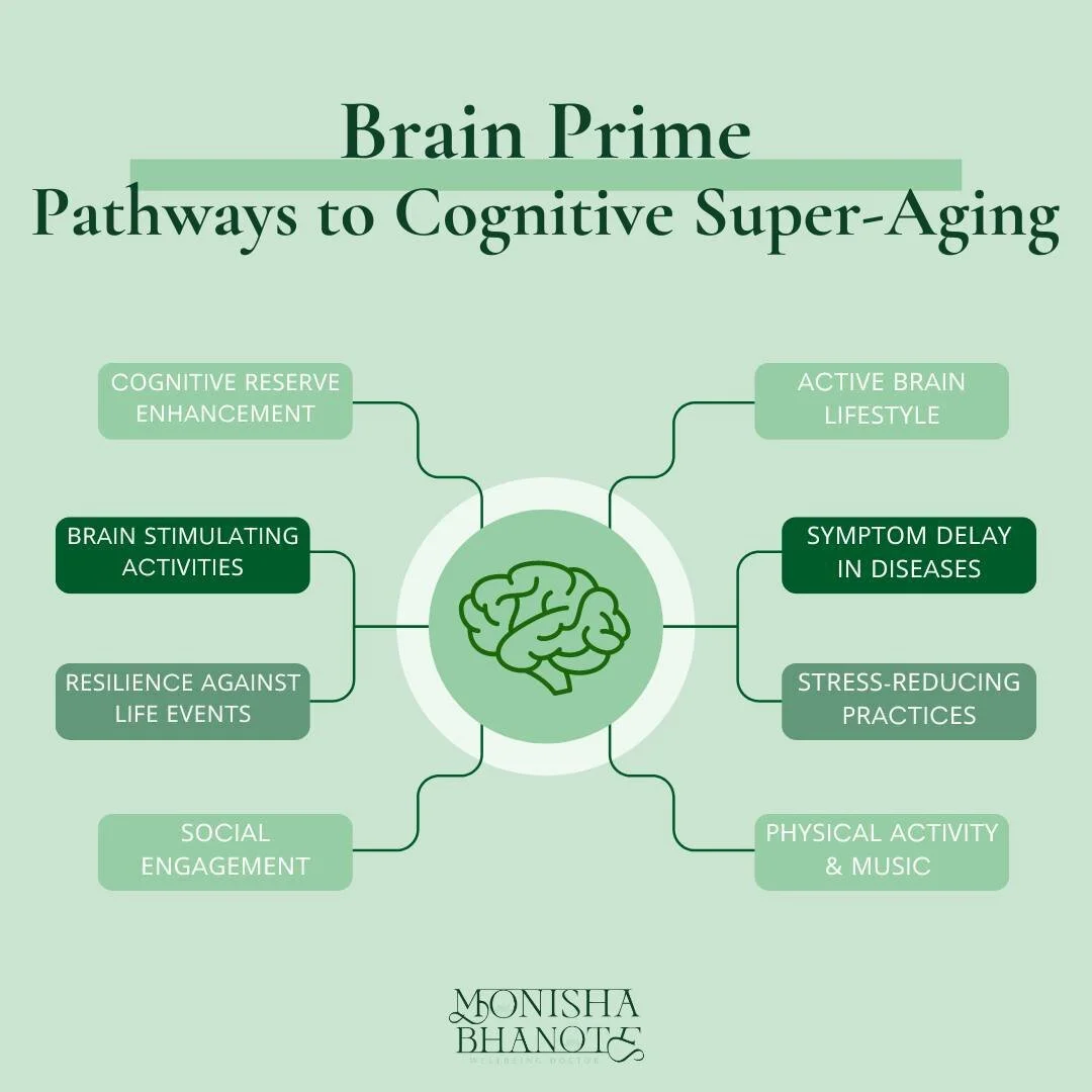 The Gut-Brain Connection: What your Brain Fog May Be Telling You — Dr