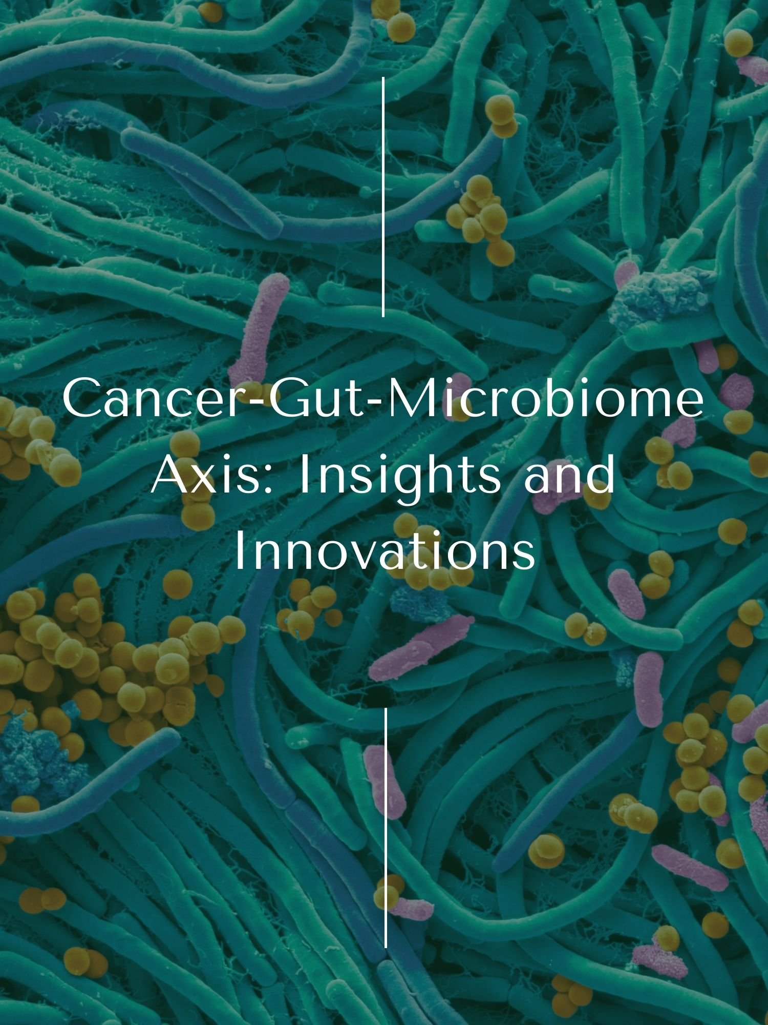 Cancer and the Gut Microbiome Axis: Insights and Innovations