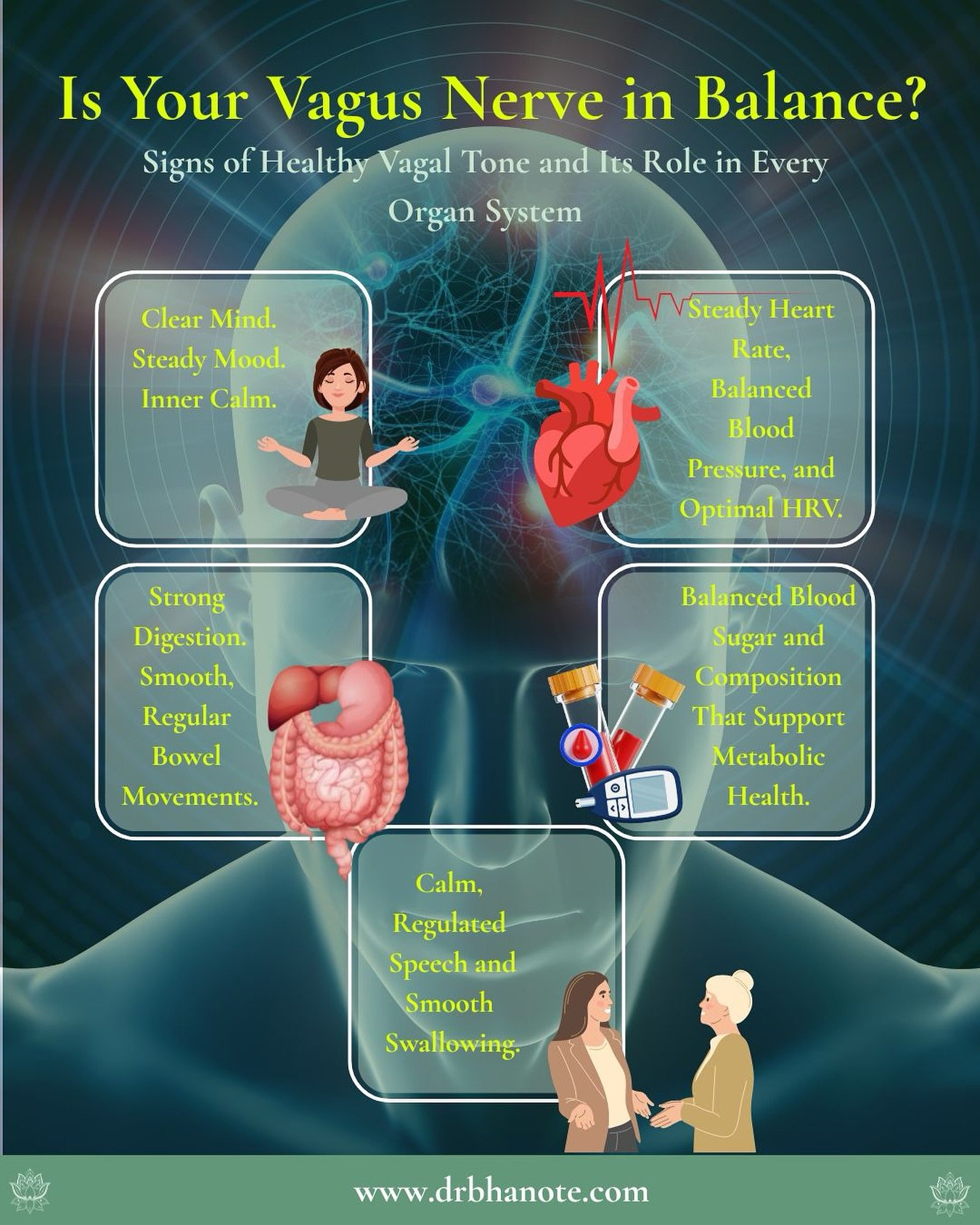 It&rsquo;s not just a nerve&mdash;it&rsquo;s the command center of your parasympathetic nervous system.

When it&rsquo;s activated, your body feels safe.
Your digestion flows. Your mind quiets. Your heart rate steadies.

Your inflammation lowers.
You