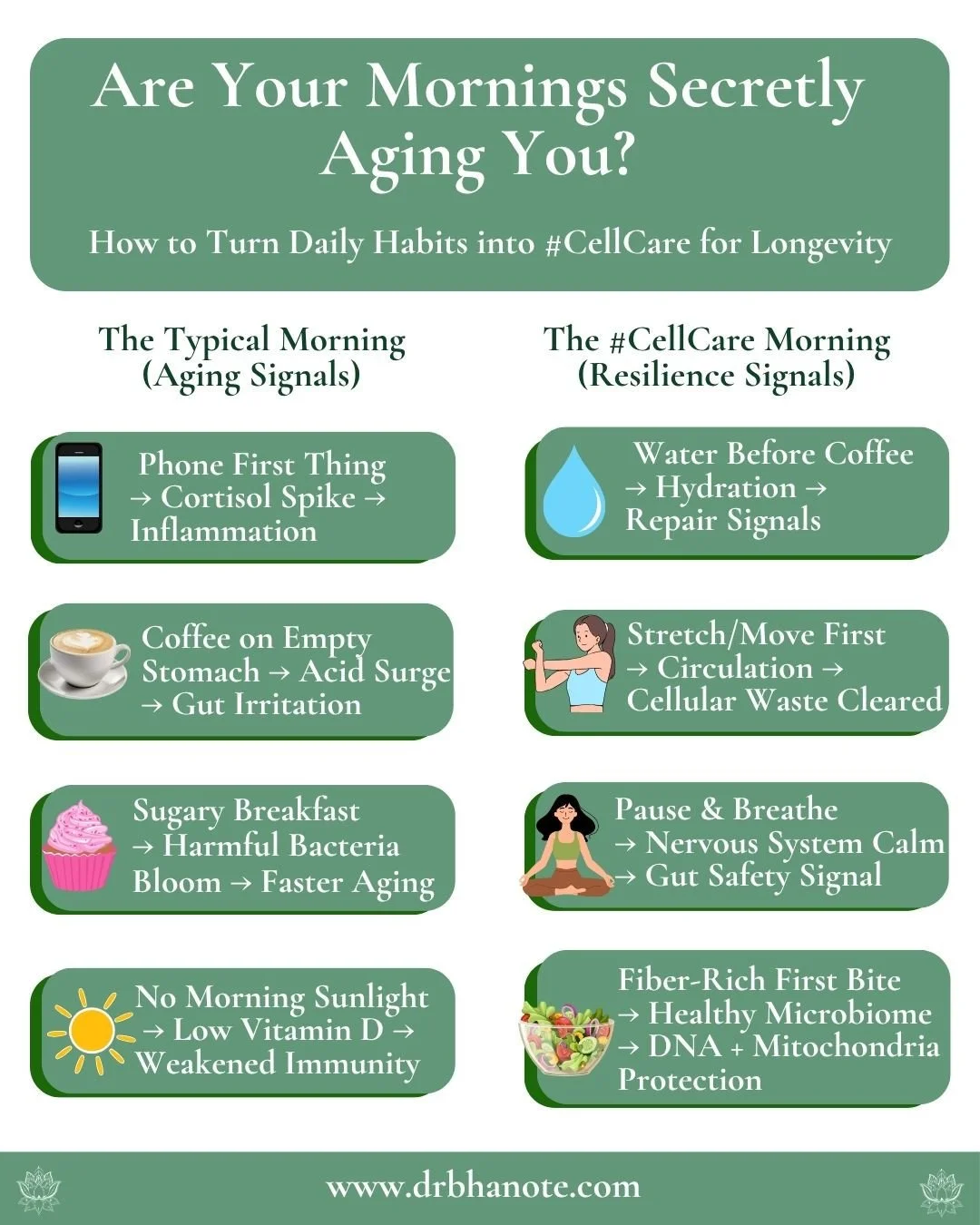 Most people don&rsquo;t realize this ⏰&hellip;⁠
⁠
Your first 30 minutes are either programming your cells for repair or for stress.⁠
⁠
📱 Phone first &rarr; cortisol spike &rarr; inflamed cells⁠
☕ Coffee on empty stomach &rarr; gut chaos &rarr; aging