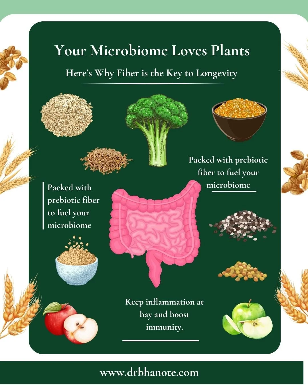 🌿 How many different plant foods did you eat this week?⁠
⁠
Your plate is your ecosystem&mdash;and fiber is the quiet hero behind longevity. ⁠
⁠
🌱 Your microbiome loves plants, and fiber is its favorite fuel. The more diverse your plant intake, the 