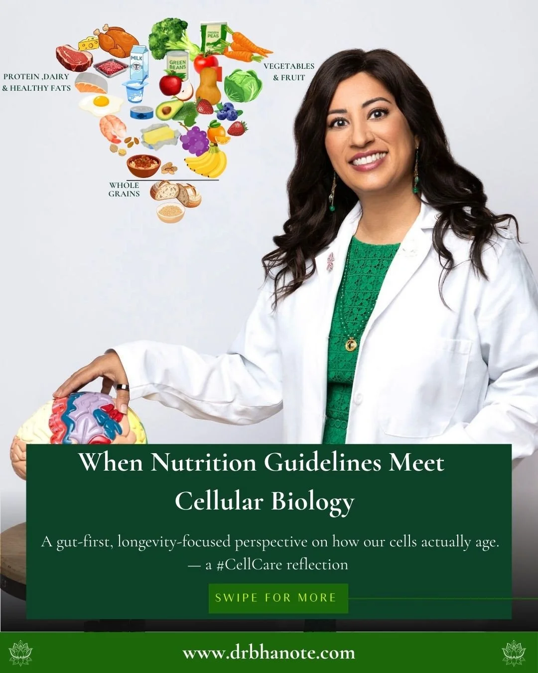 When nutrition guidelines meet cellular biology&hellip;

As if people weren&rsquo;t already confused about what to eat,
here comes a new food pyramid &mdash; simplified in appearance, but biologically incomplete.

From a cellular health perspective, 