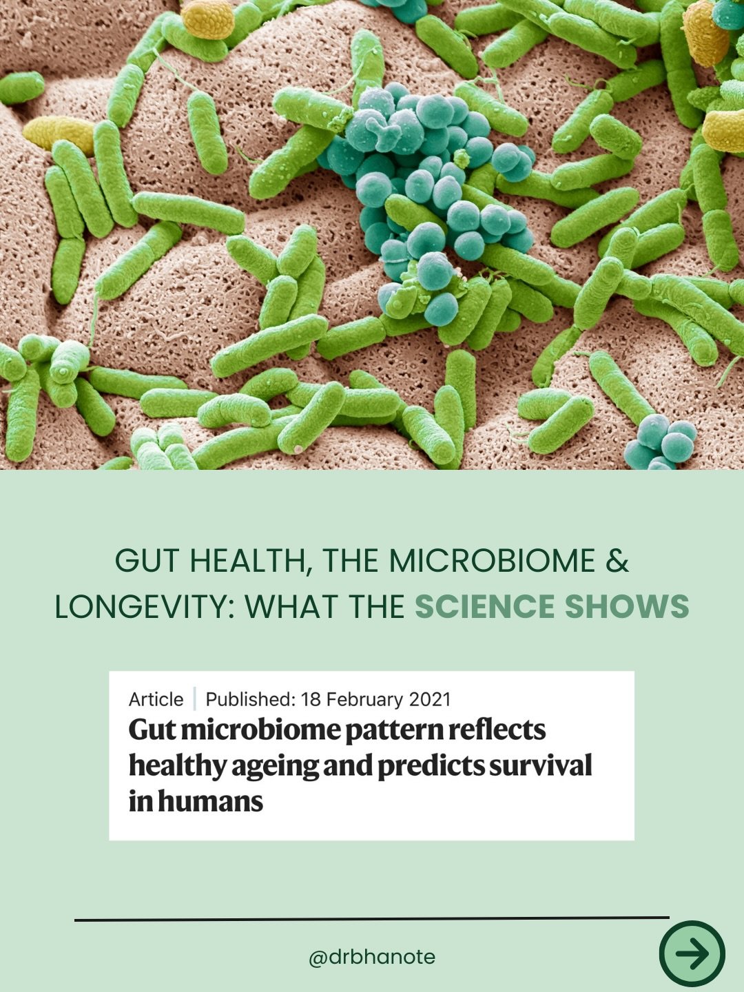 The gut is not just a digestive organ.

It is a central regulator of inflammation, immunity, metabolism, and the way we age.

Research continues to show that microbial balance and gut integrity influence biological aging by shaping how the body respo