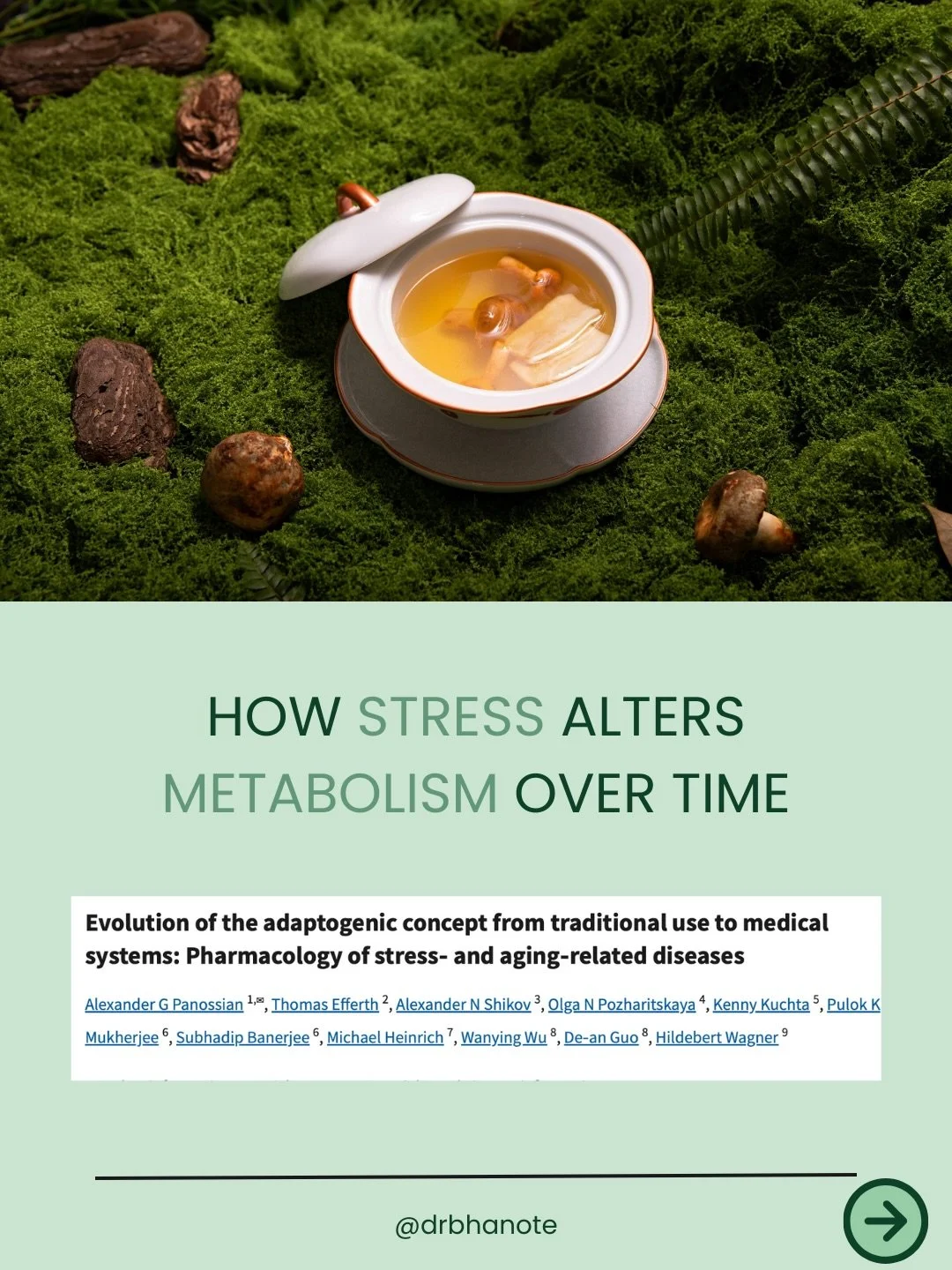 Metabolism is not a math equation.
It is a conversation between your brain, your hormones, your gut, and your cells.

Chronic stress does more than affect mood.
It changes how the body perceives safety.

When the stress response remains activated, co
