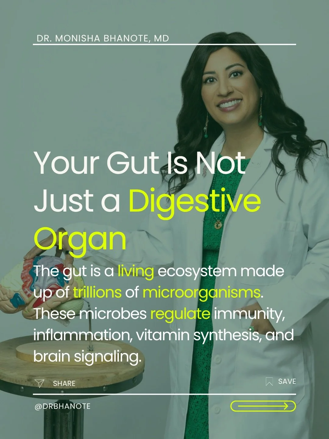 Your gut isn&rsquo;t just there to digest food, it&rsquo;s an entire ecosystem influencing metabolism, immunity, and even your brain. 

Research shows that many common medications from antidepressants to acid reducers can reshape your gut microbiome 