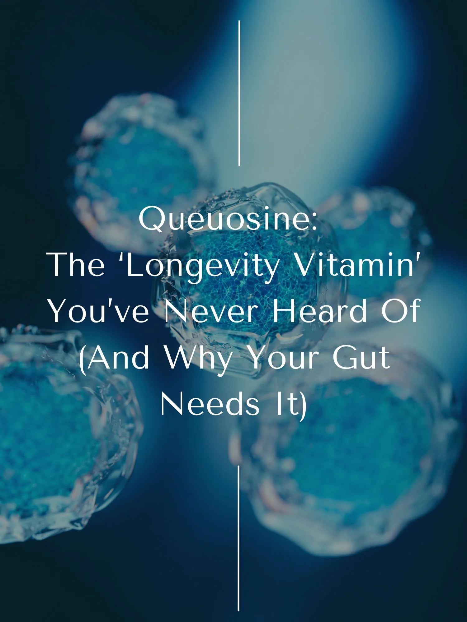 Queuosine: The ‘Longevity Vitamin’ You’ve Never Heard Of (And Why Your Gut Needs It)