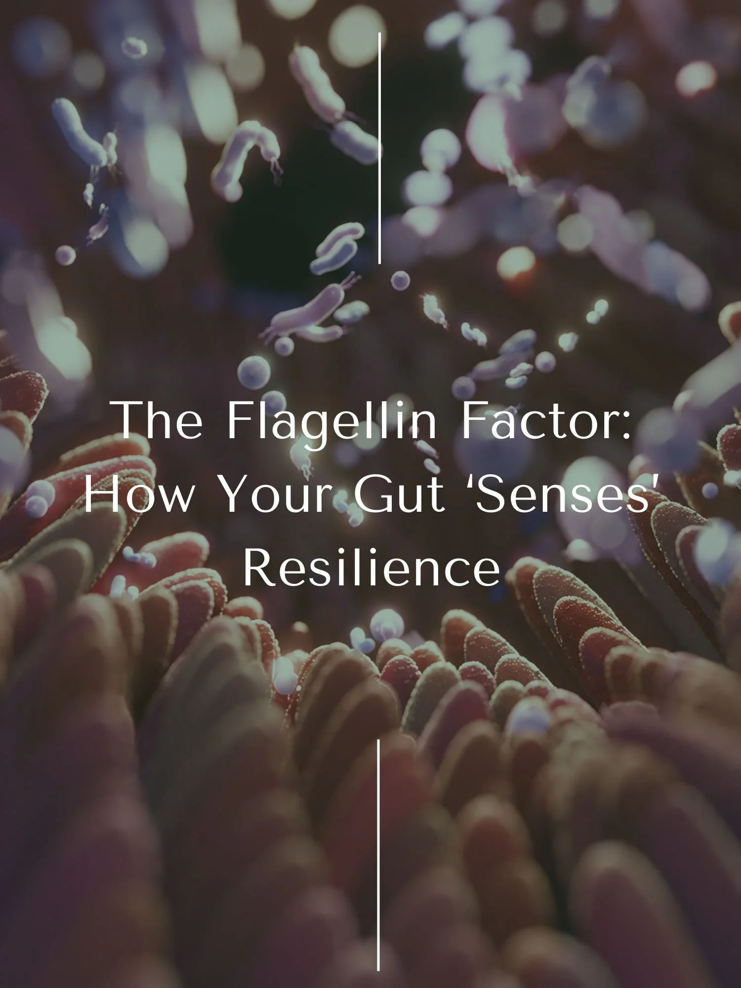 The Flagellin Factor: How Your Gut ‘Senses’ Resilience