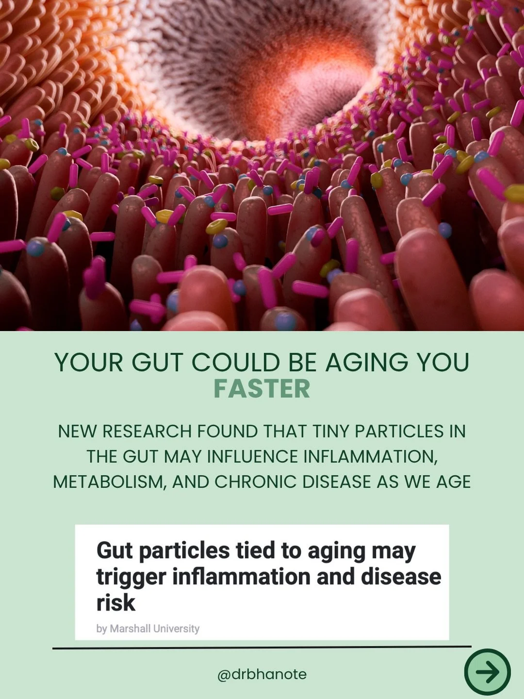 New research found that microscopic particles produced in the gut may help drive:

&rarr; inflammation
&rarr; insulin resistance
&rarr; metabolic dysfunction
&rarr; age-related disease

Even more interesting?

When researchers transferred &ldquo;youn