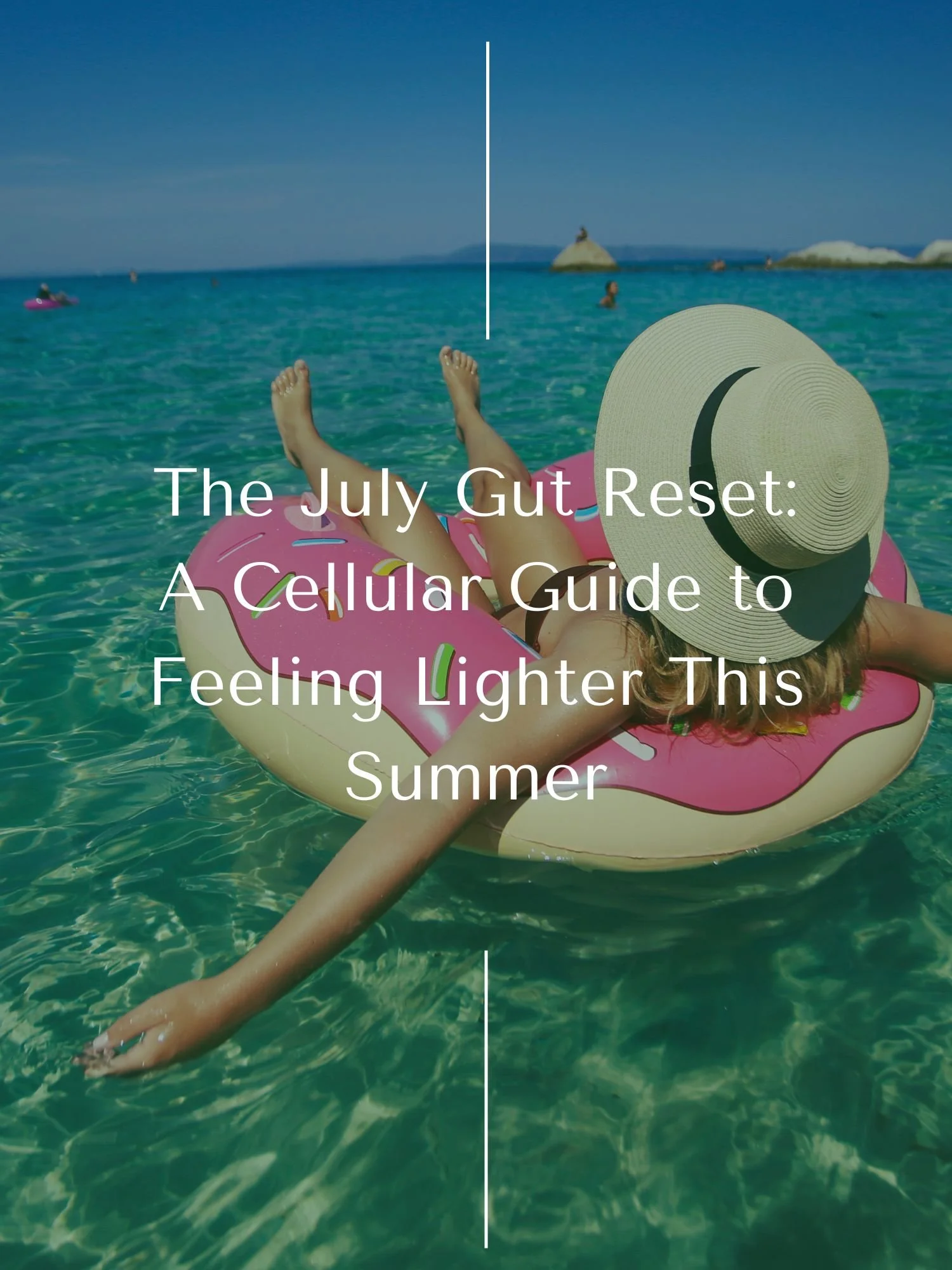 The July Gut Reset: A Cellular Guide to Feeling Lighter This Summer