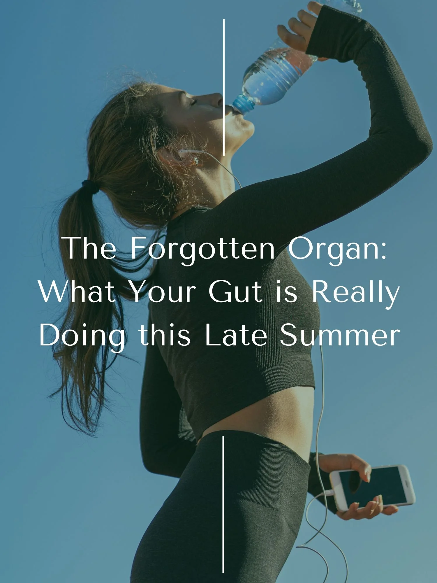 The Forgotten Organ: What Your Gut is Really Doing this Late Summer