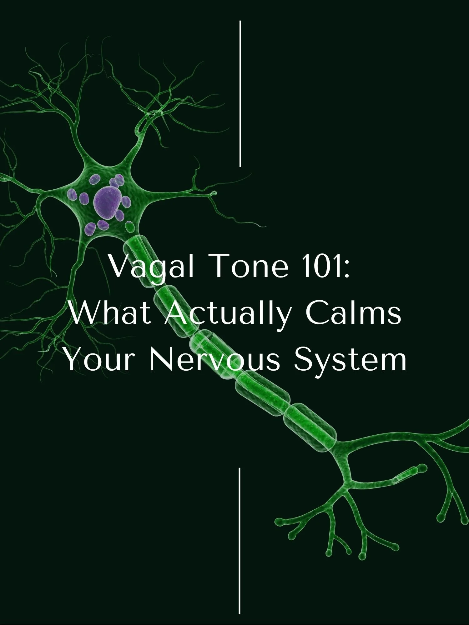 Vagal Tone 101: What Actually Calms Your Nervous System