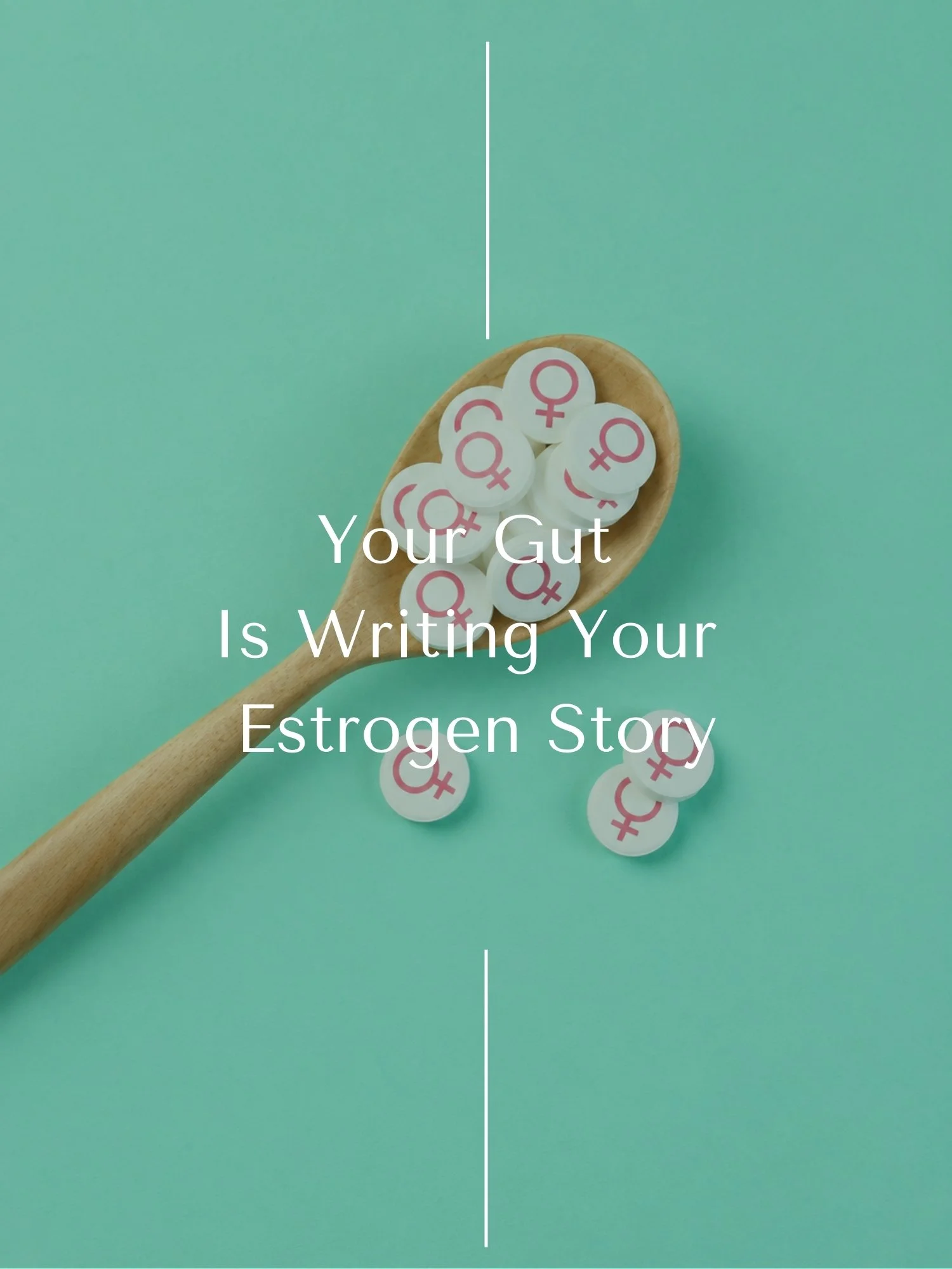 Your Gut Is Writing Your Estrogen Story