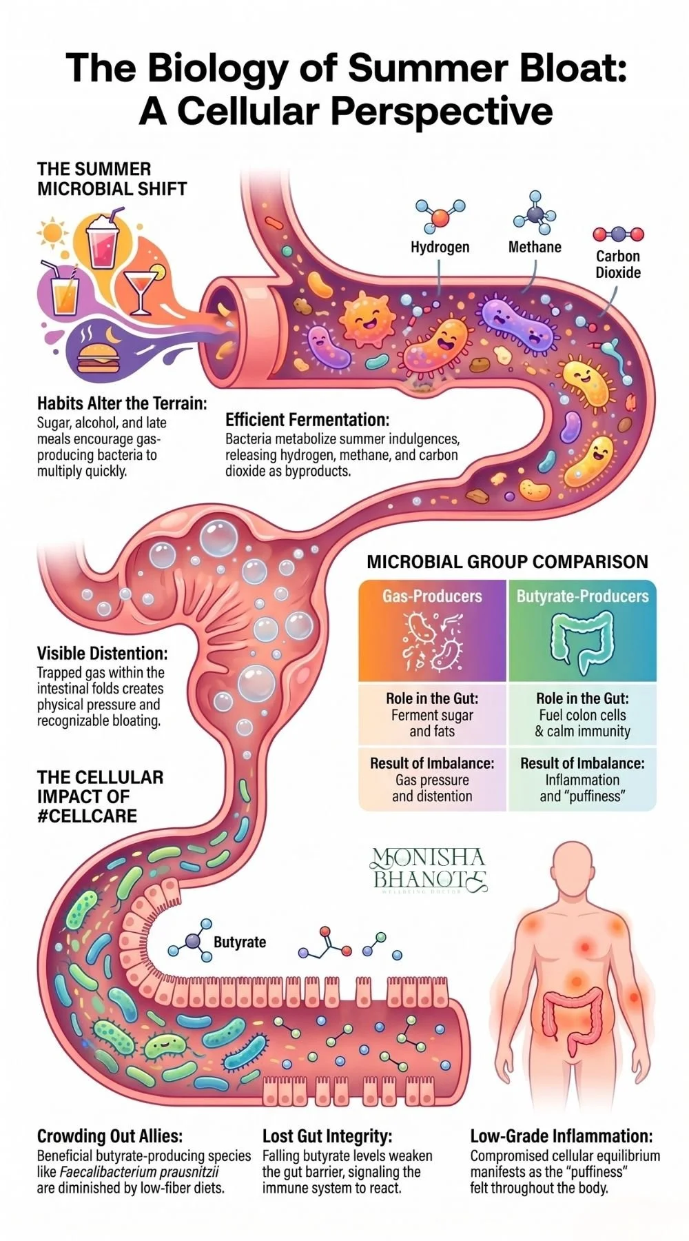Dr. Bhanote explaining the cellular science behind summer bloating, gut microbiome balance, and digestive health.