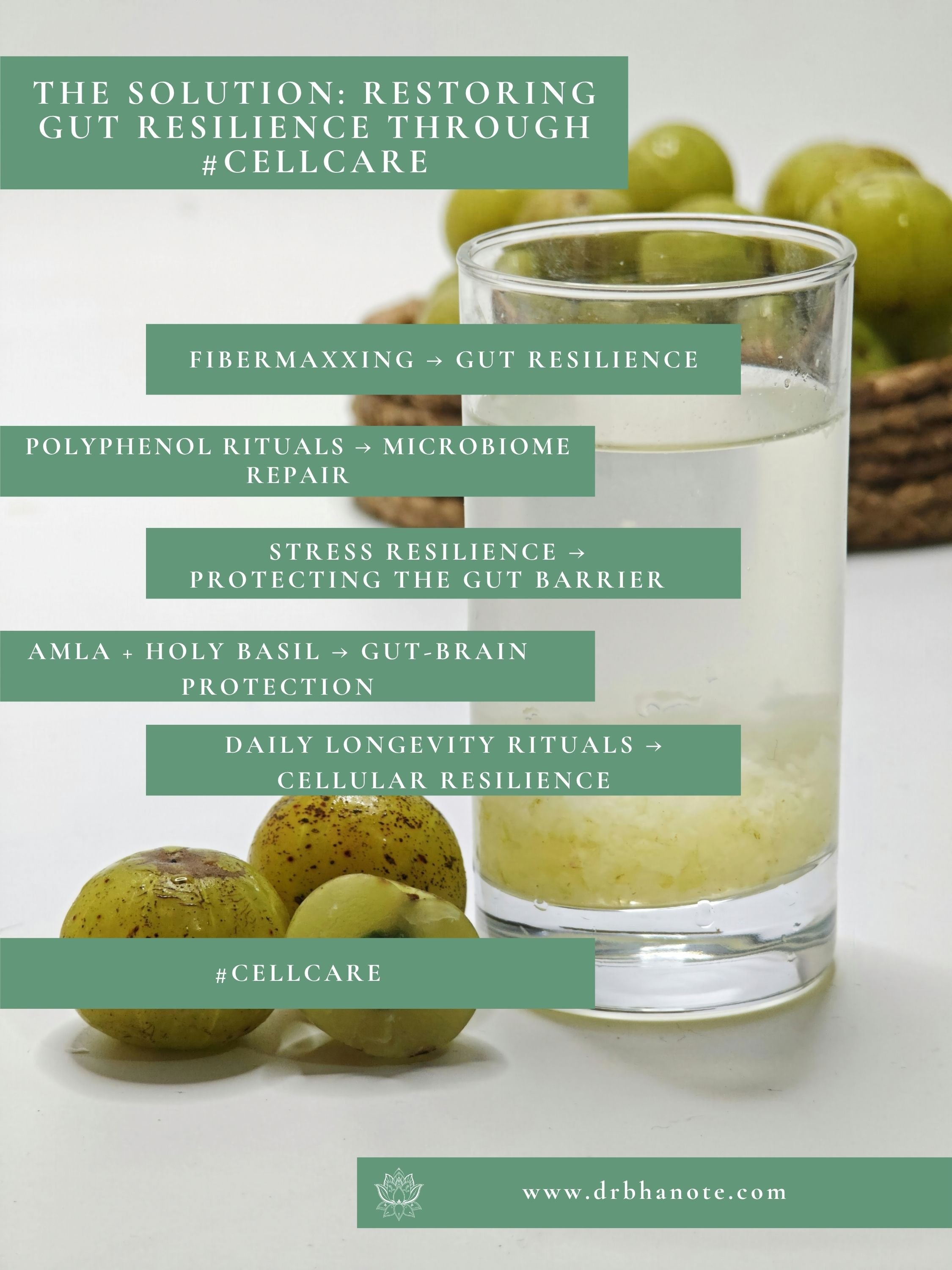 Dr. Monisha Bhanote outlining strategies to restore gut resilience through fiber-rich foods, polyphenol rituals, stress resilience, gut-brain support with amla and holy basil, and daily longevity practices that support cellular health.