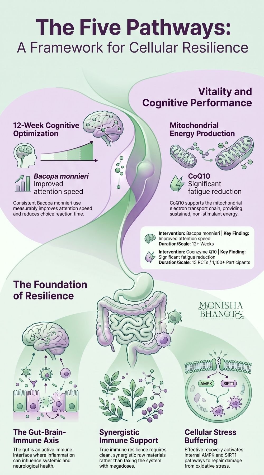 Infographic by Dr. Monisha Bhanote on the five pathways to cellular resilience.