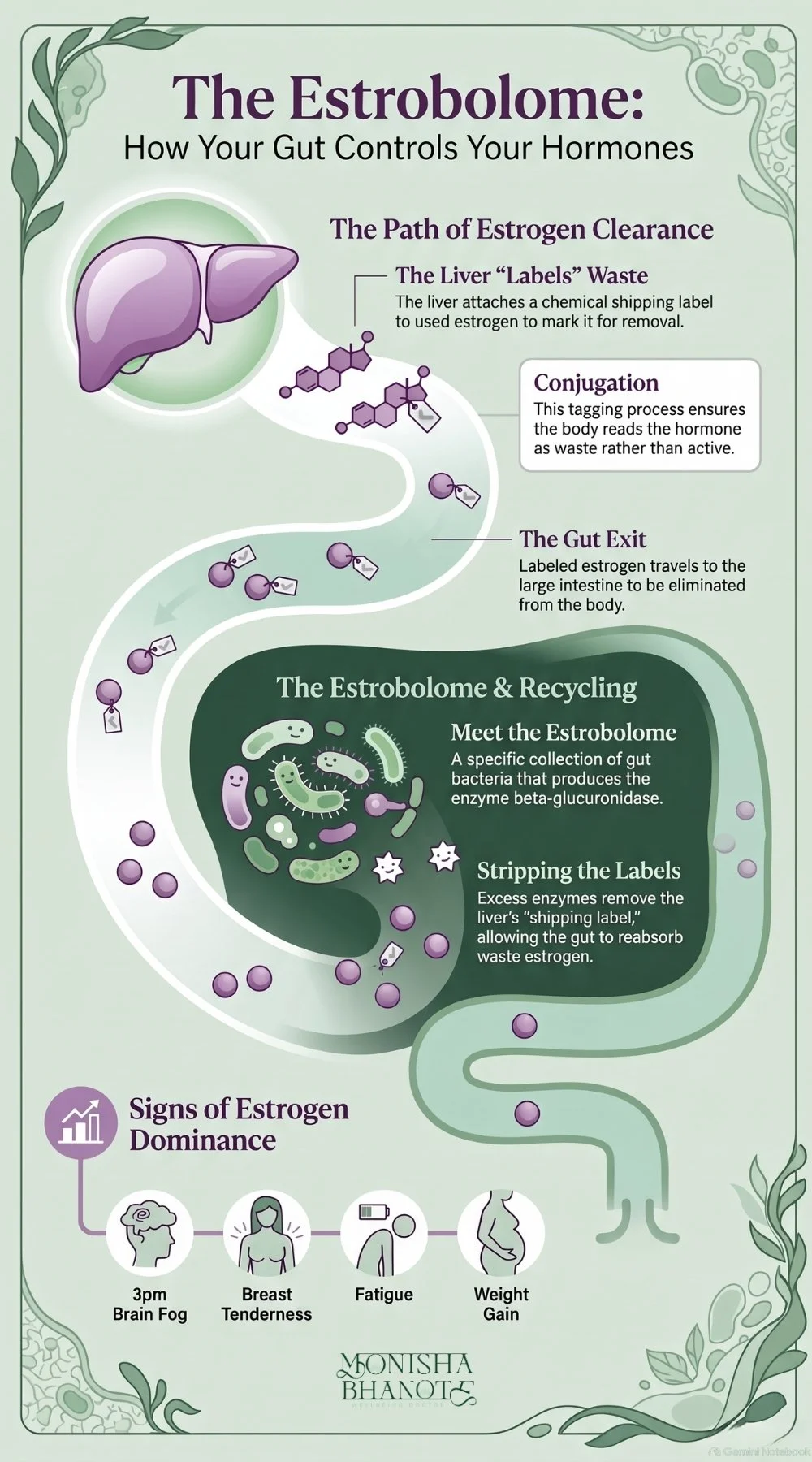The Estrobolome | Dr. Monisha Bhanote