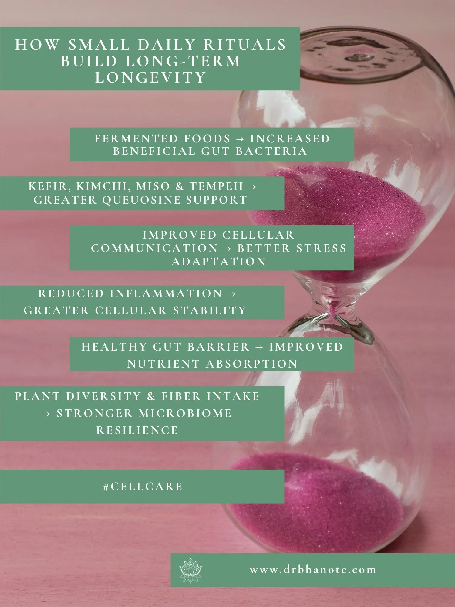 Longevity graphic by Dr. Monisha Bhanote showing how gut health rituals and fermented foods support cellular resilience and healthy aging.