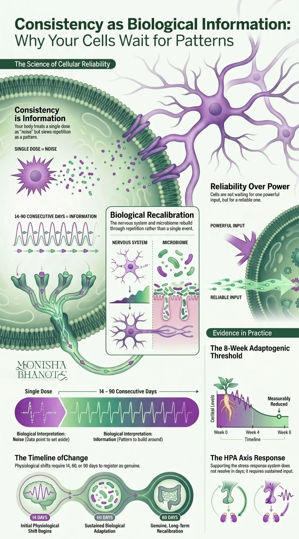 Dr. Bhanote's infographic about why your cells wait for patterns