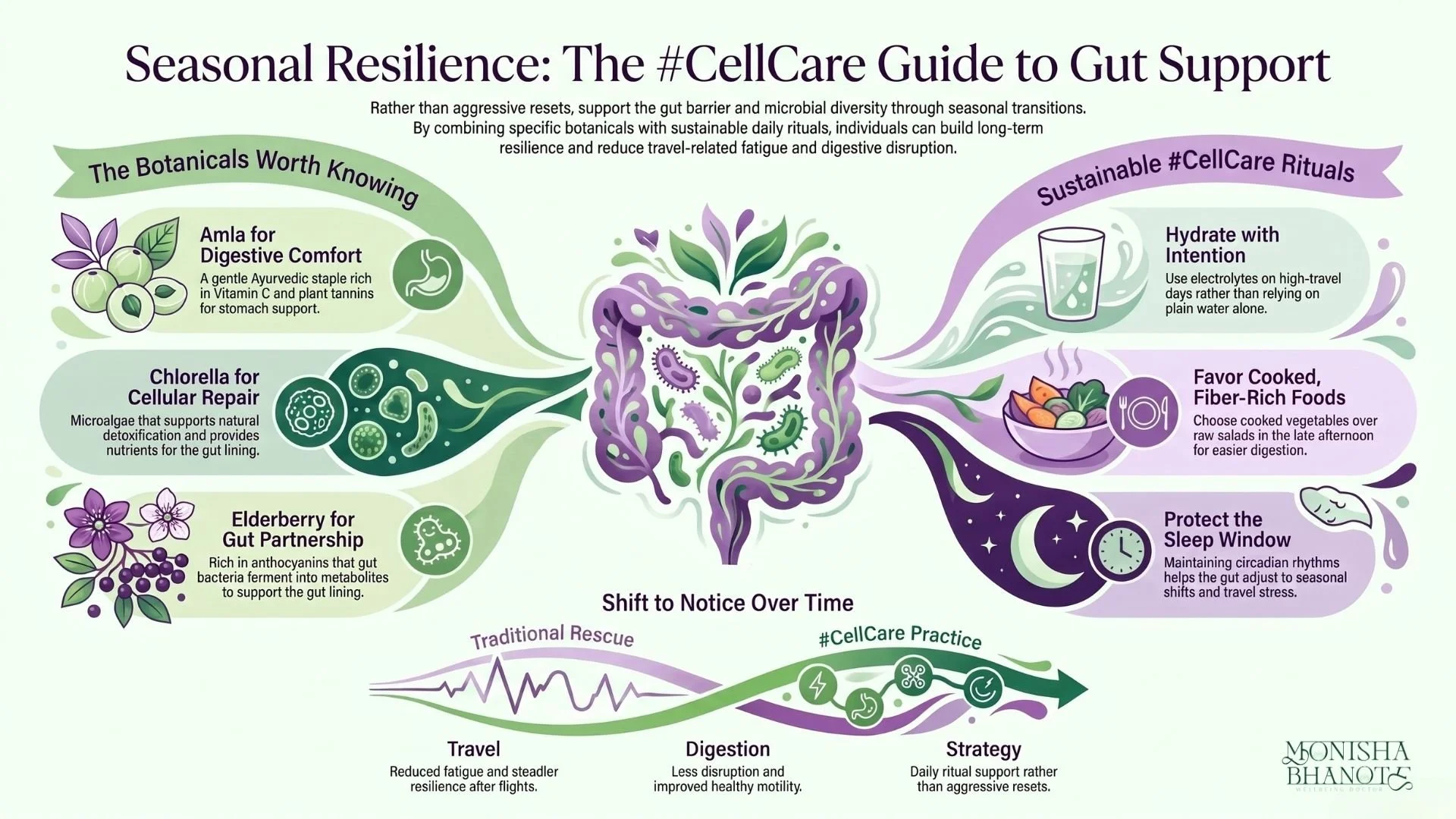 Cellcare Guide to Gut Support infographic by Dr. Monisha Bhanote