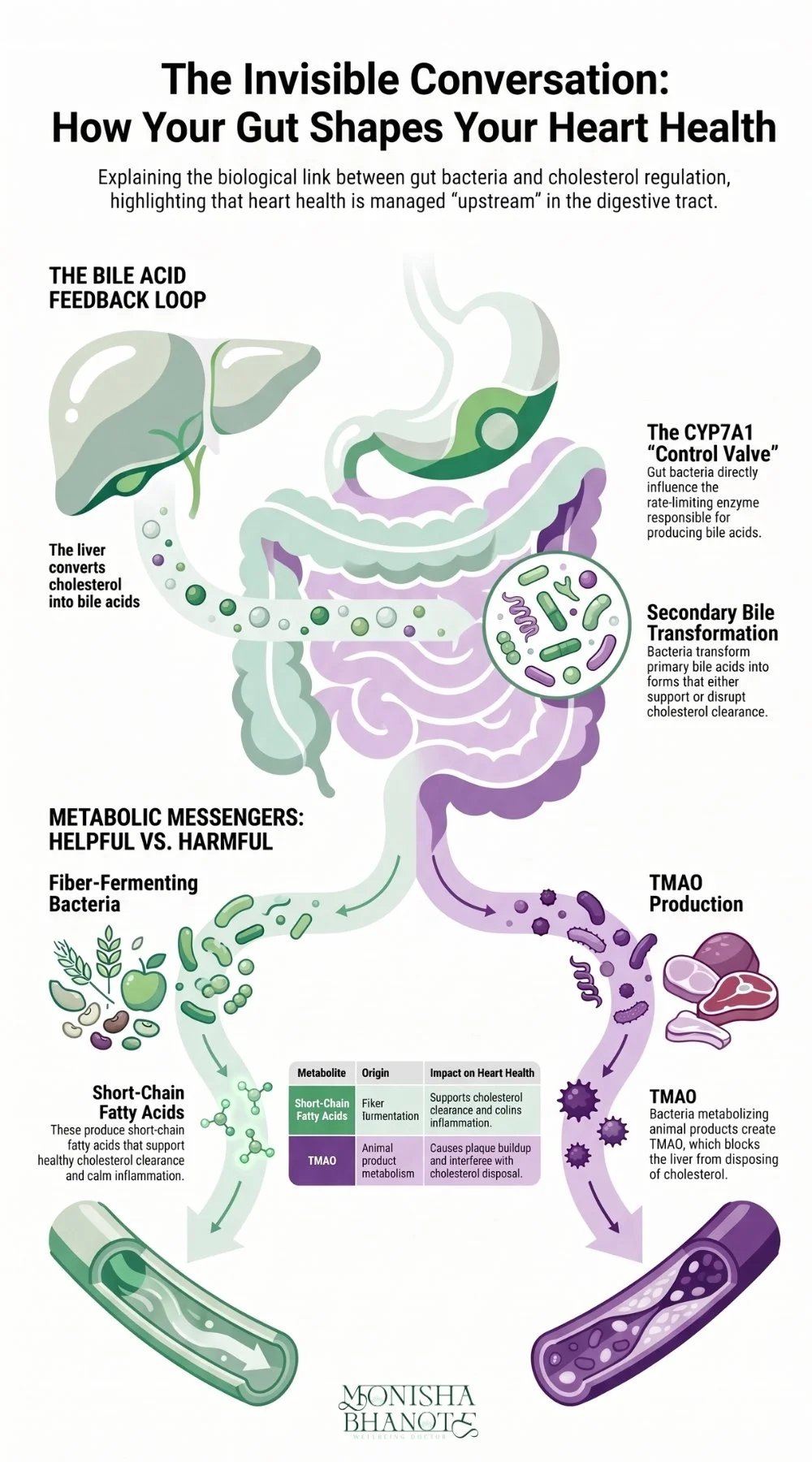 Gut-Heart Axis | Dr. Monisha Bhanote